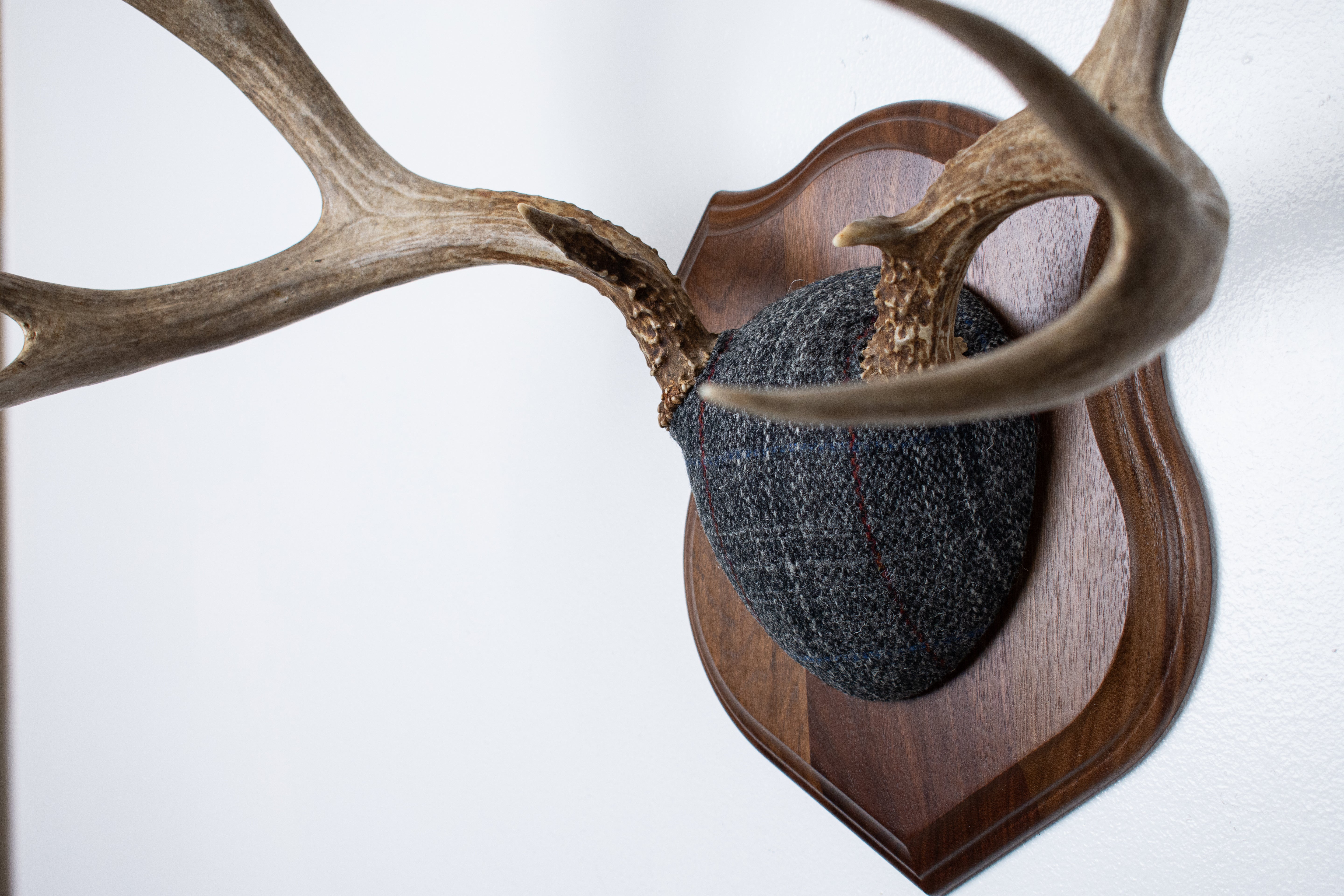 Mule Deer Antler Mount | Grey with Red Overcheck Herringbone | 24