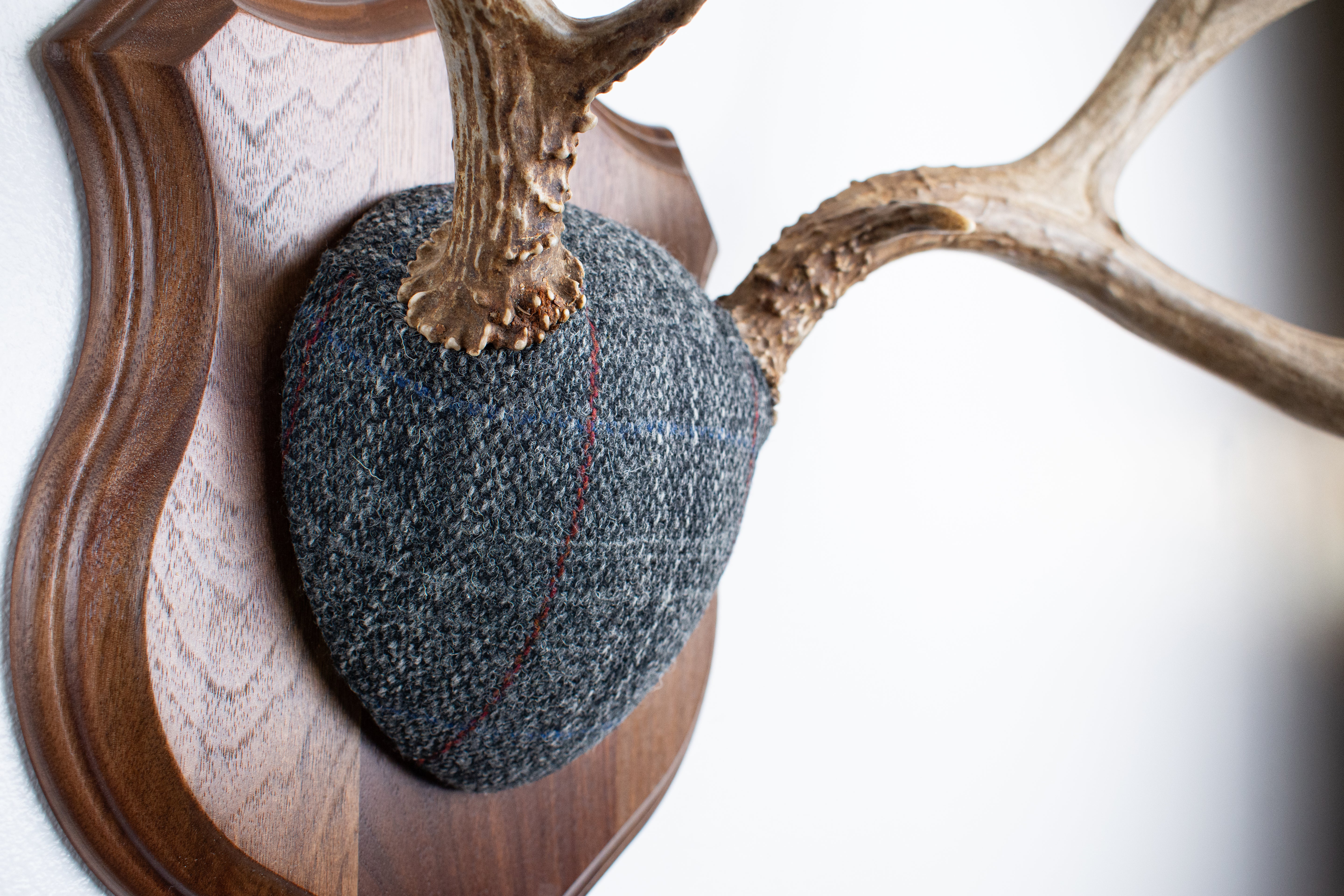 Mule Deer Antler Mount | Grey with Red Overcheck Herringbone | 24