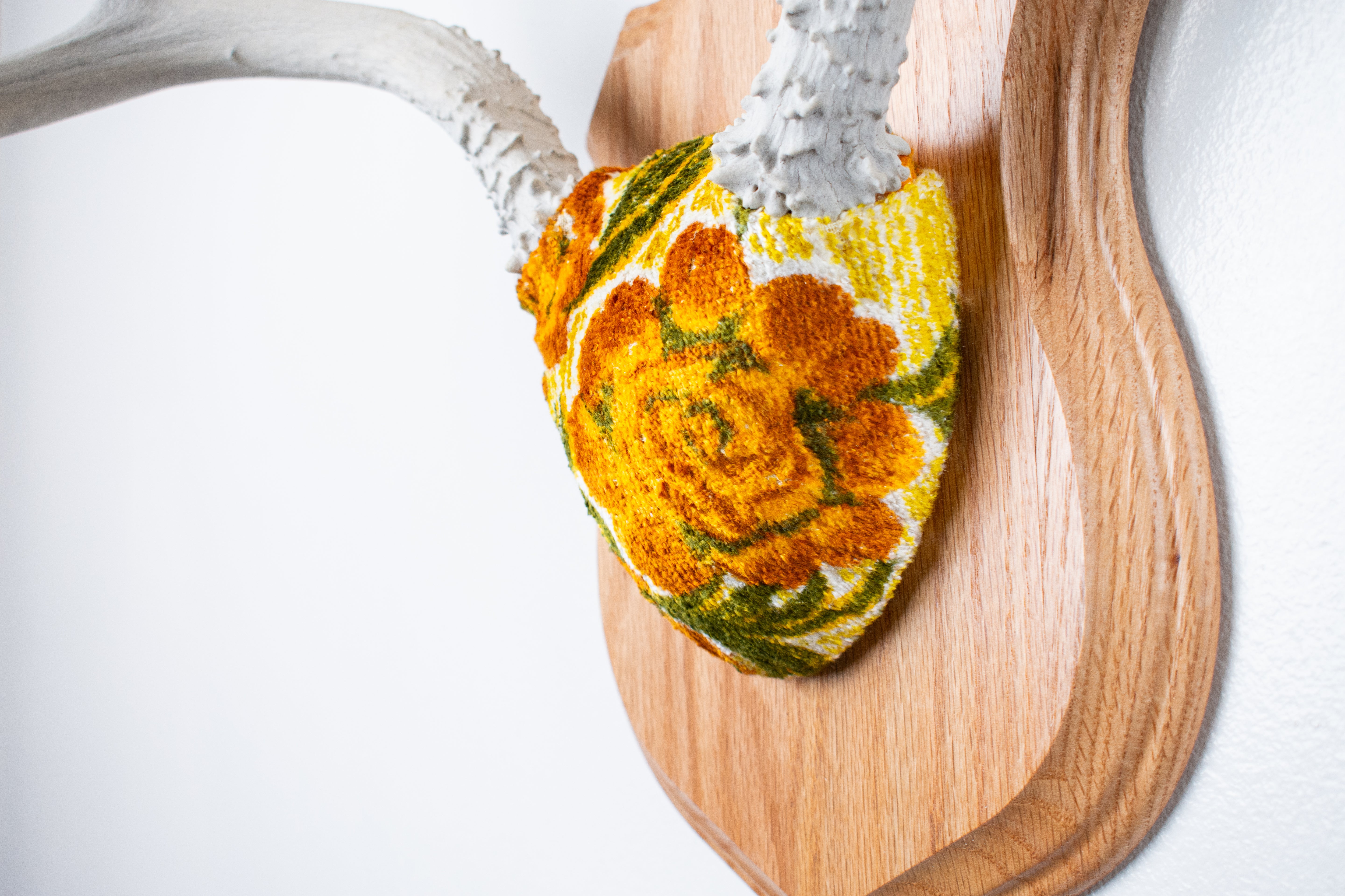 Mule Deer Antler Mount | Golden Marigold | 13