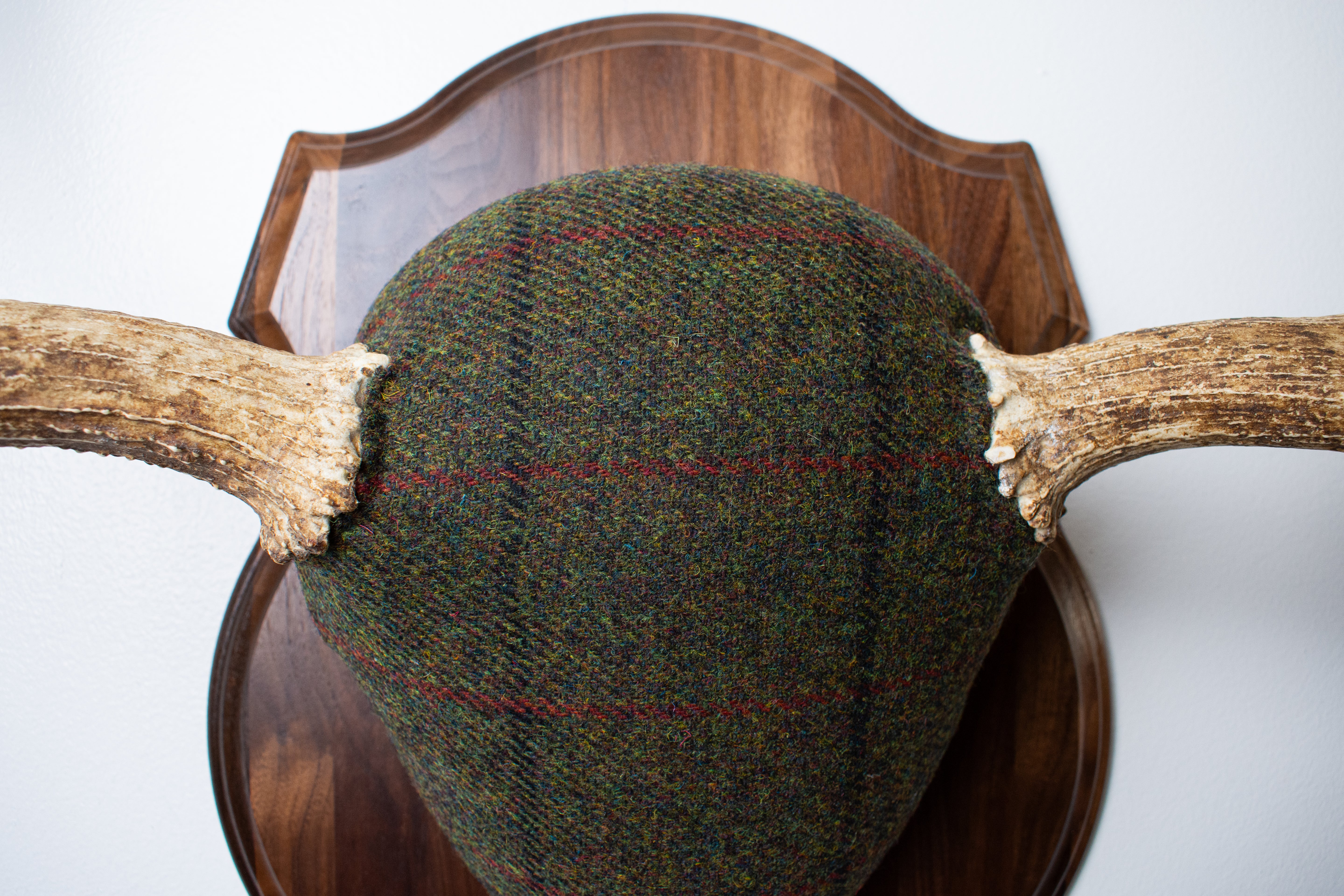 Moose Antler Mount | Green with Black and Red Overcheck | 25