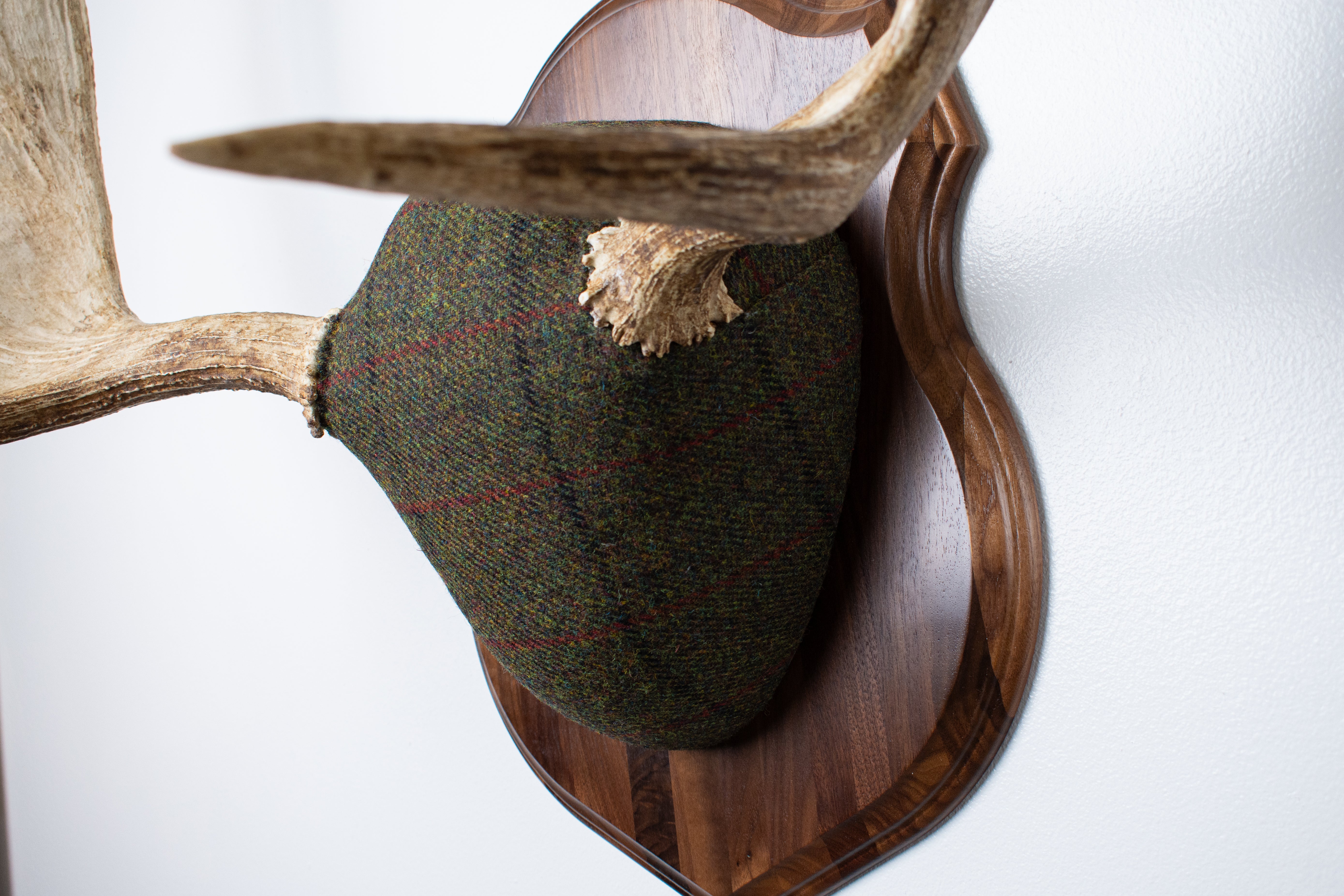 Moose Antler Mount | Green with Black and Red Overcheck | 25