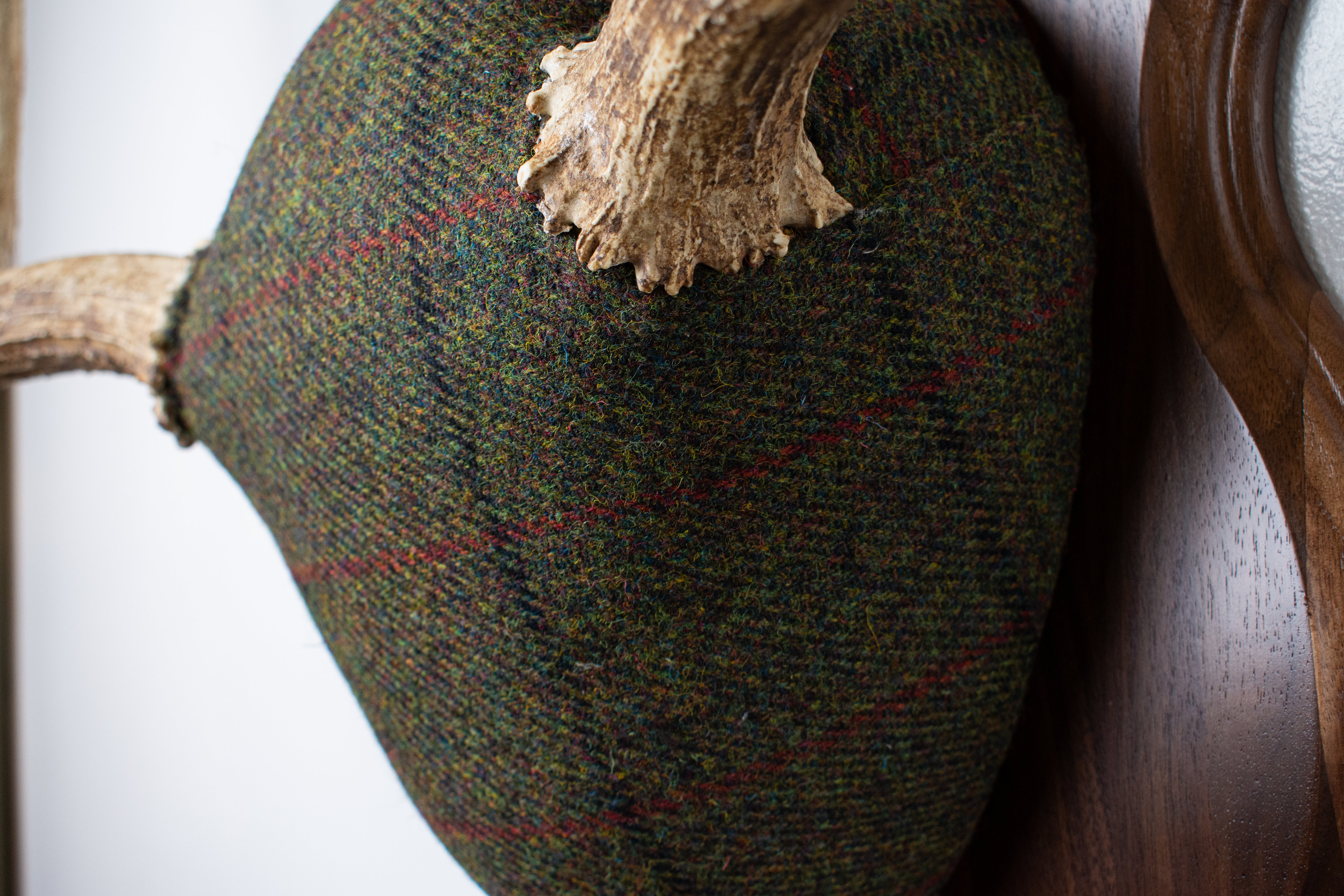 Moose Antler Mount | Green with Black and Red Overcheck | 25