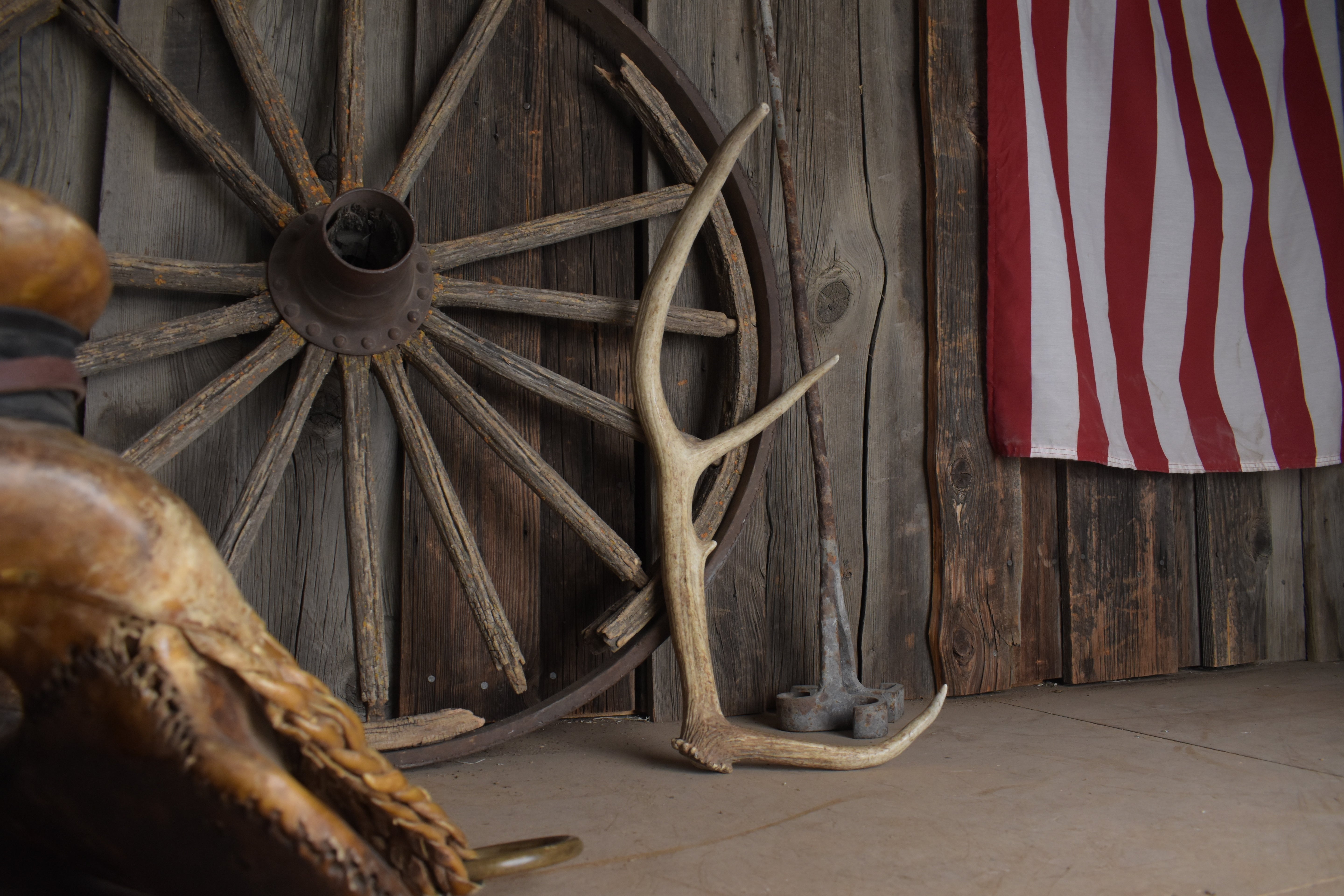 Elk Antler | Small Size | 104