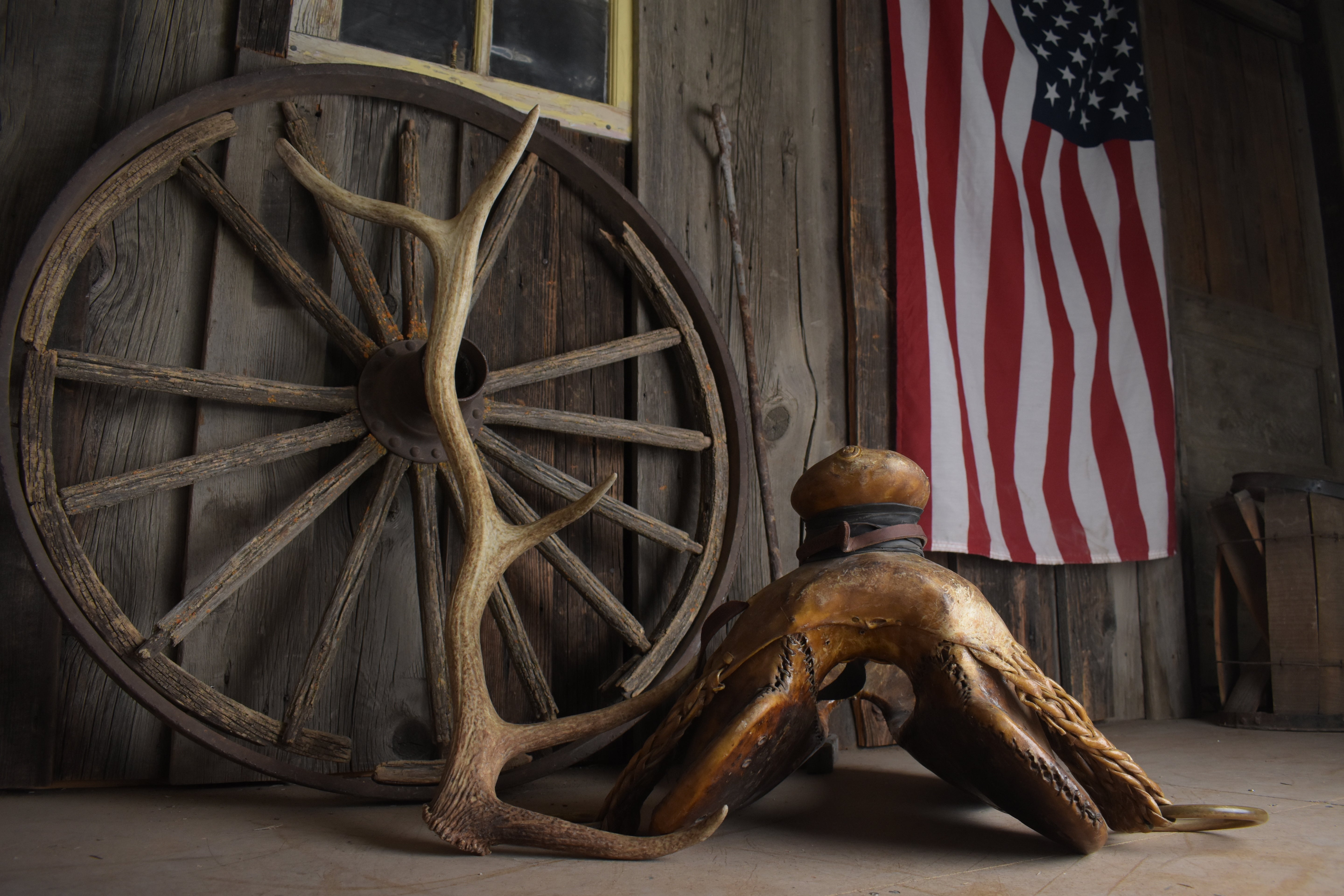 Elk Antler | Medium Size | 102
