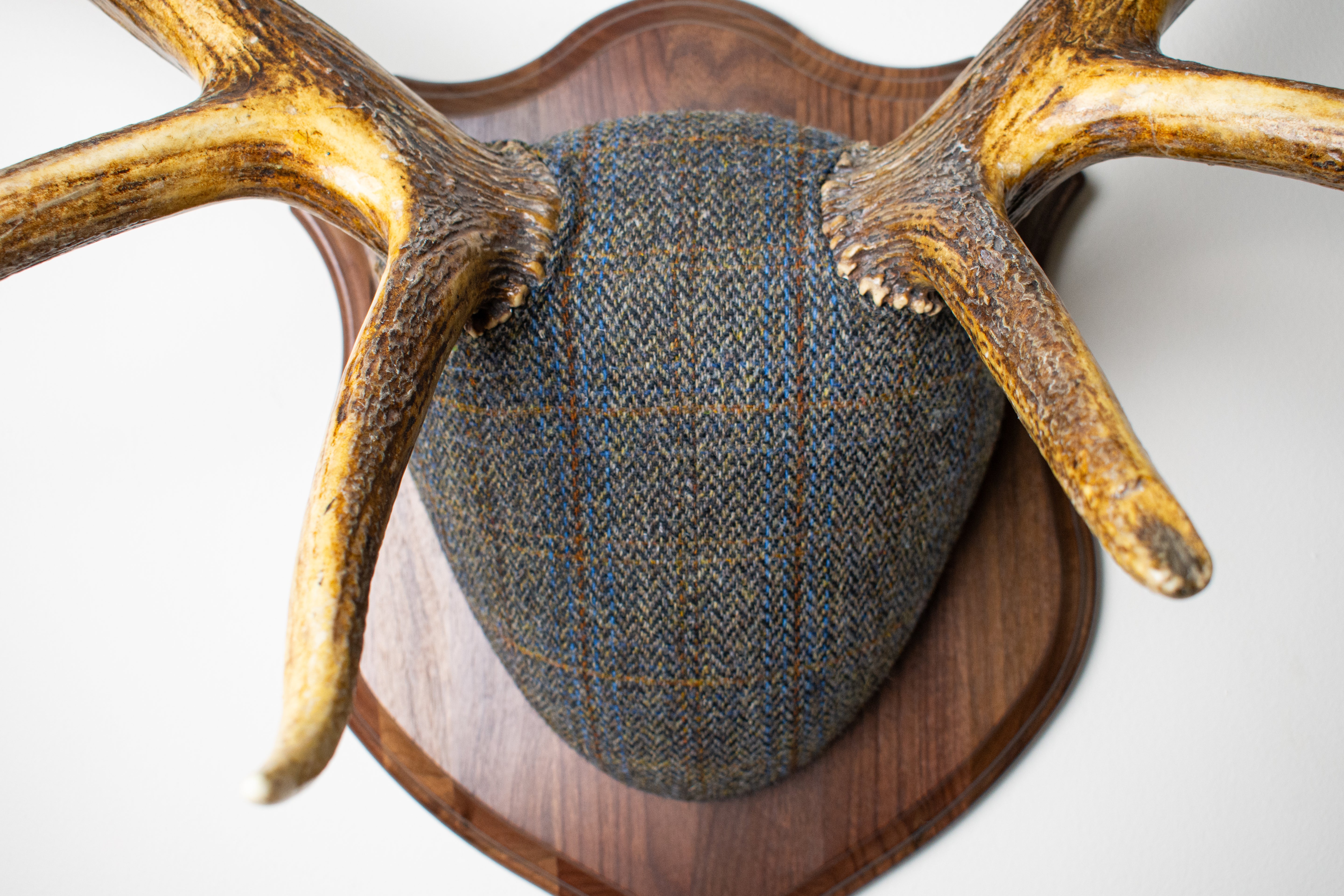 Elk Antler Mount | Green & Blue Herringbone with Rust Overcheck | 30