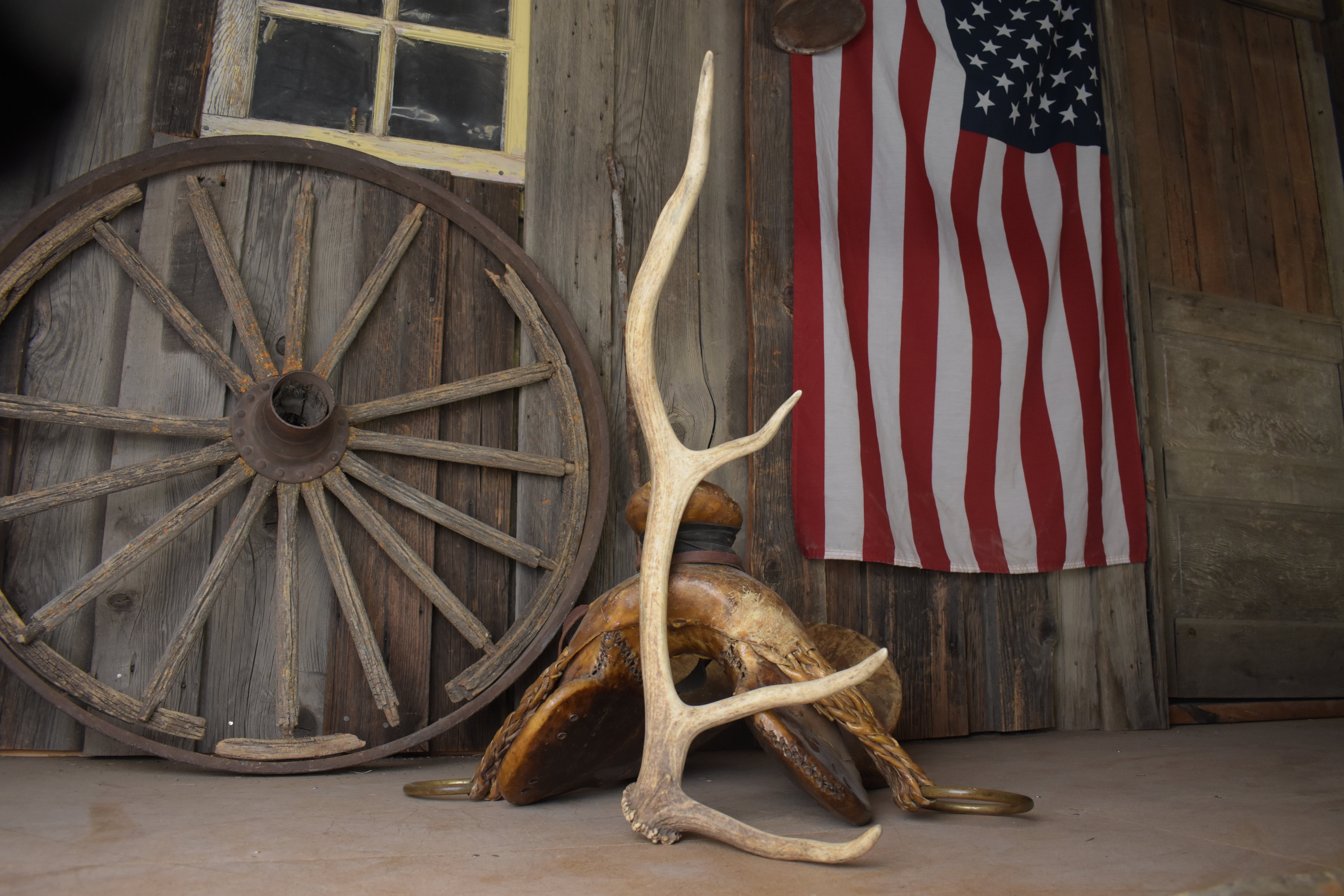 Elk Antler | Small Size | 120