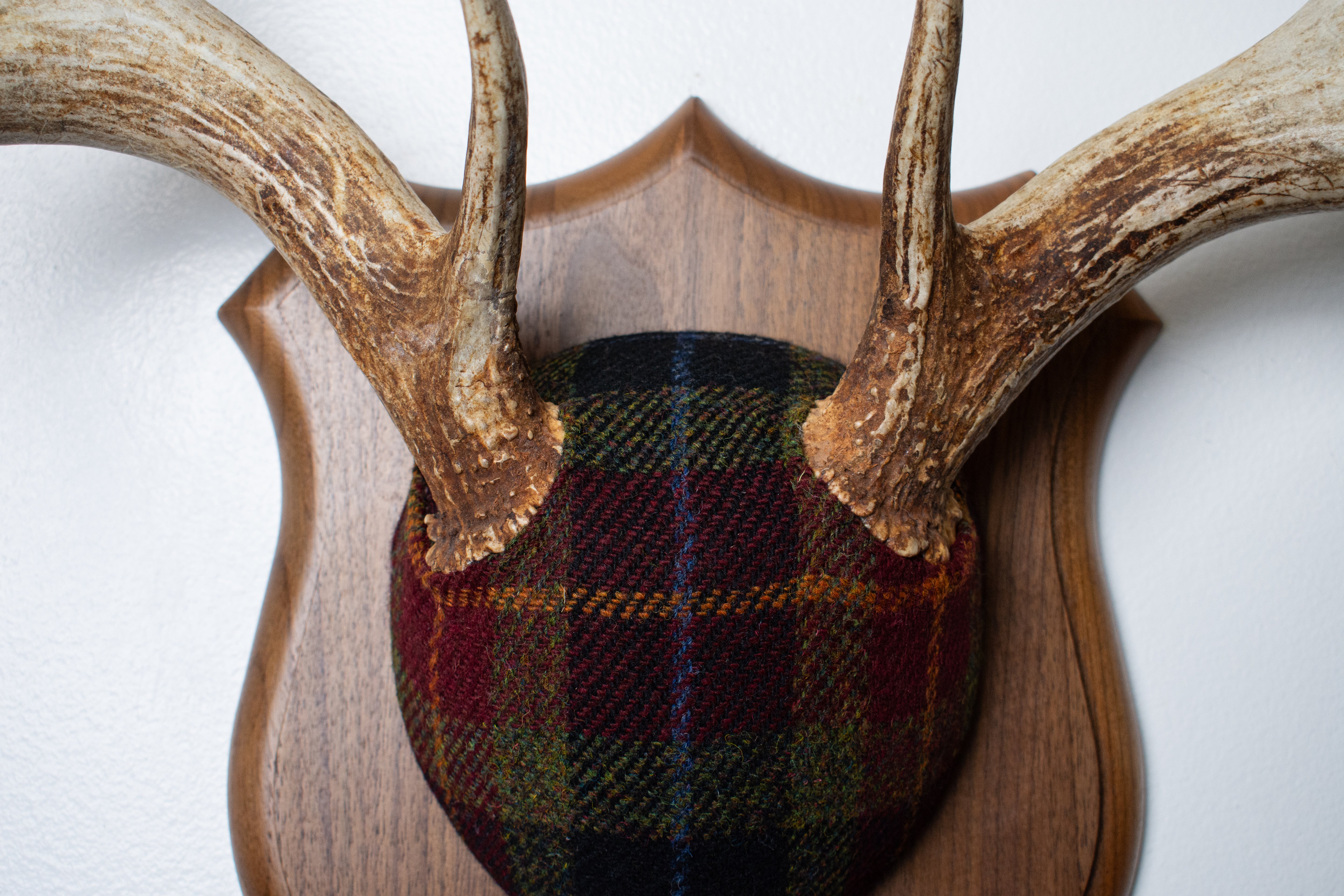 Whitetail Deer Antler Mount | Green, Red & Black Tartan | 31