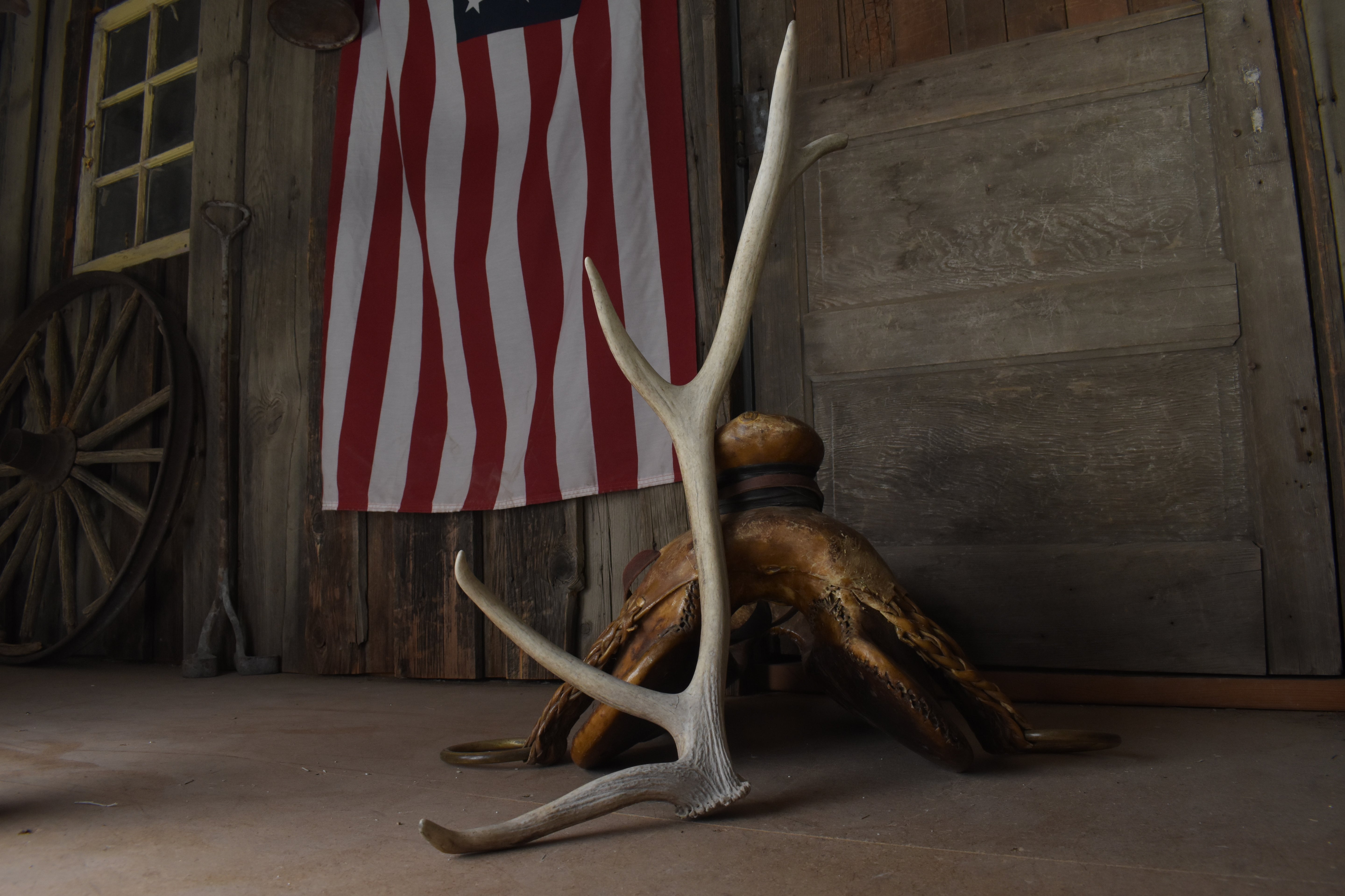 SOLD OUT | Elk Antler | Small Size | 89