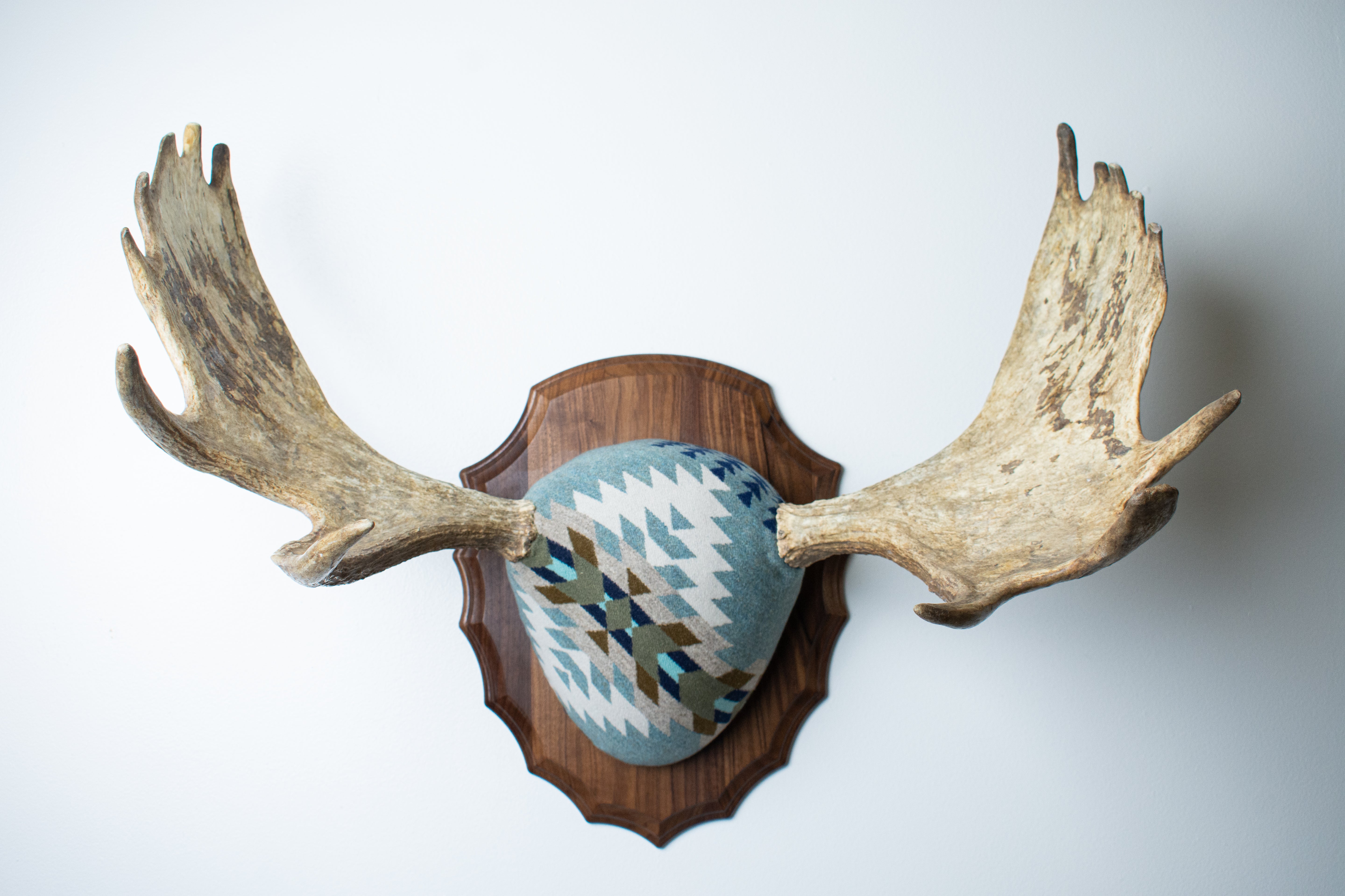 Moose Antler Mount | Stone | 10