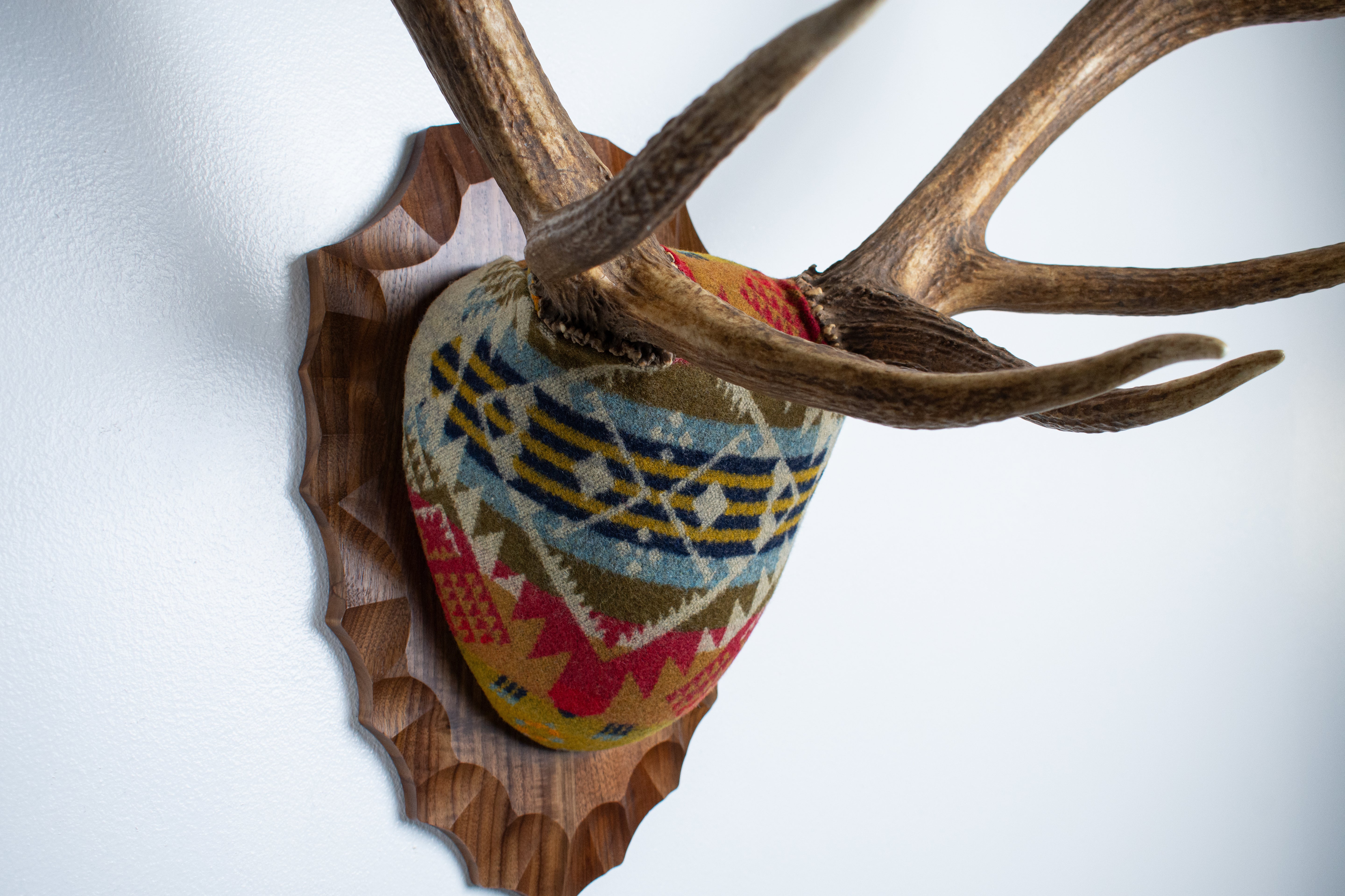 SOLD OUT | Elk Antler Mount | Canyon | 09