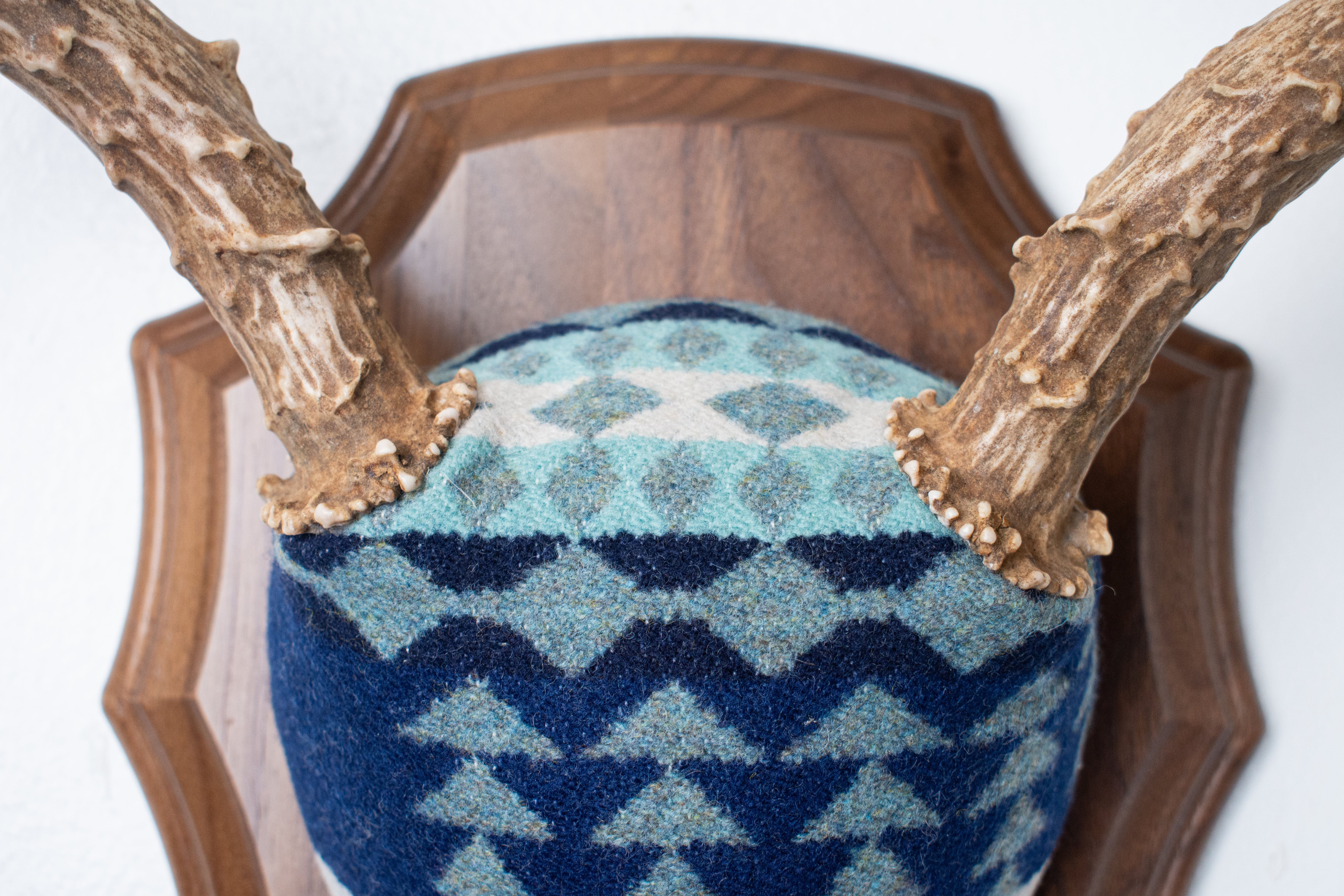 Mule Deer Antler Mount | Glacier | 14