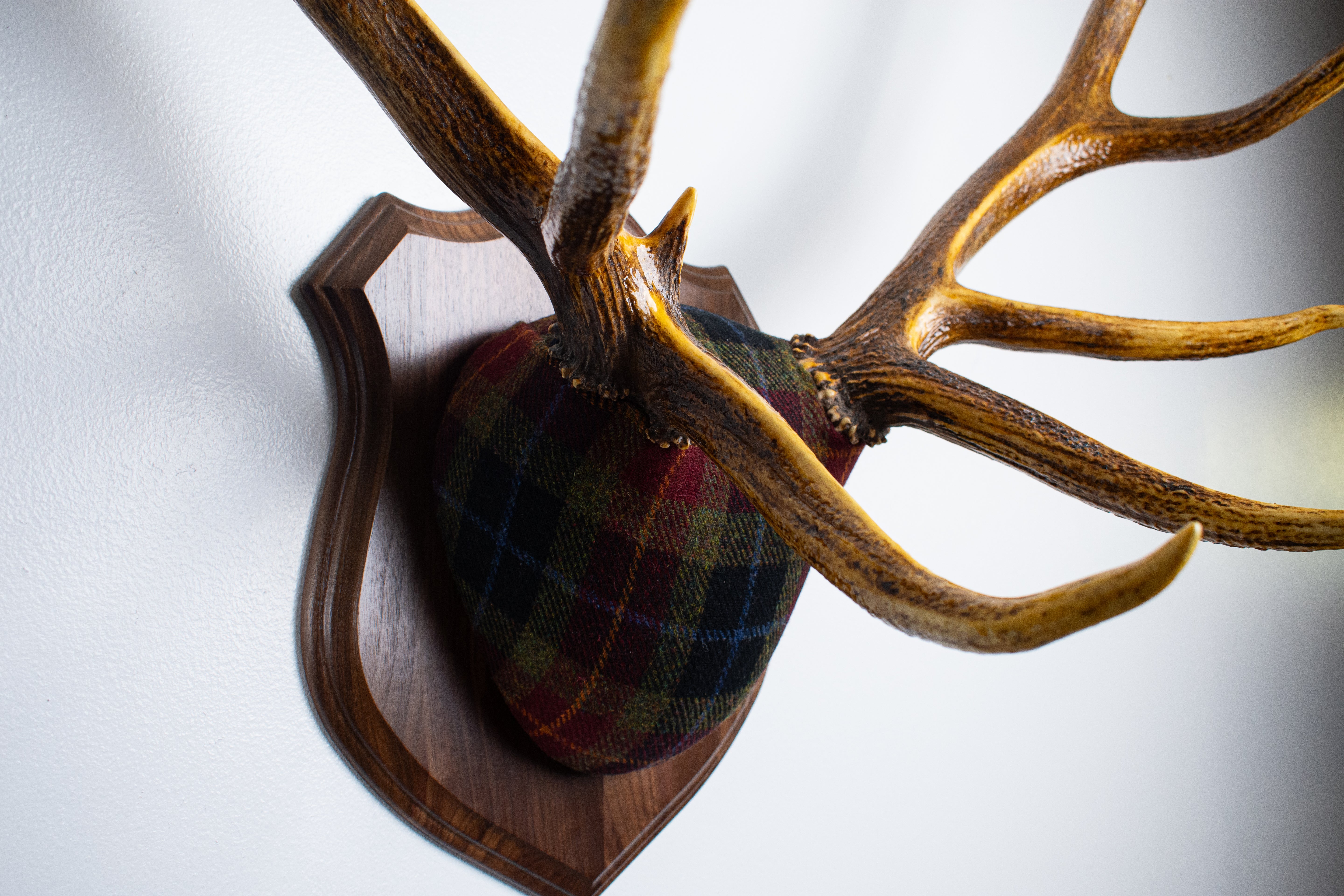 Elk Antler Mount | Green, Red & Black Tartan w/ Gold & Blue overchecks | 35