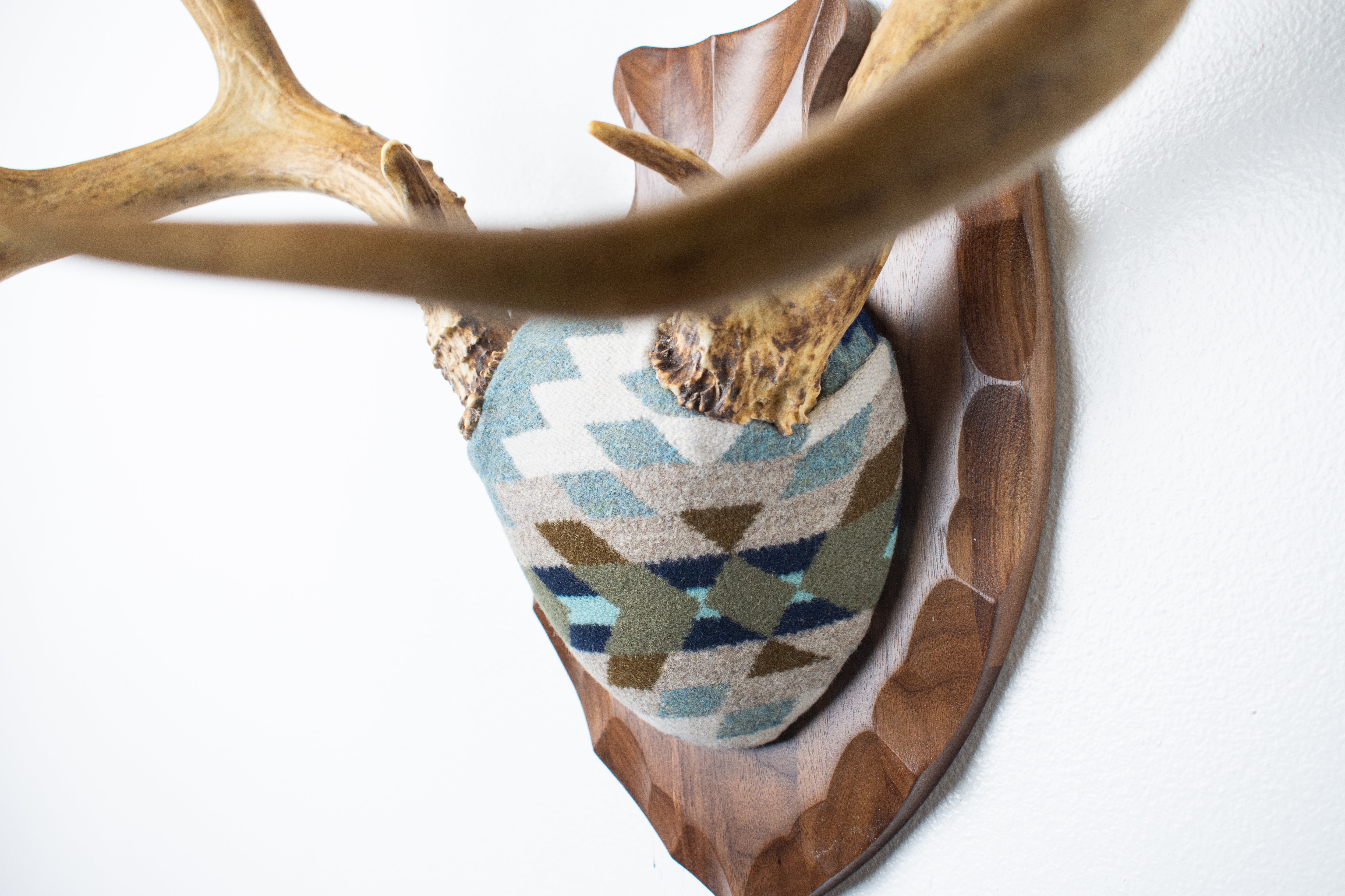 Mule Deer Antler Mount | Stone | 15