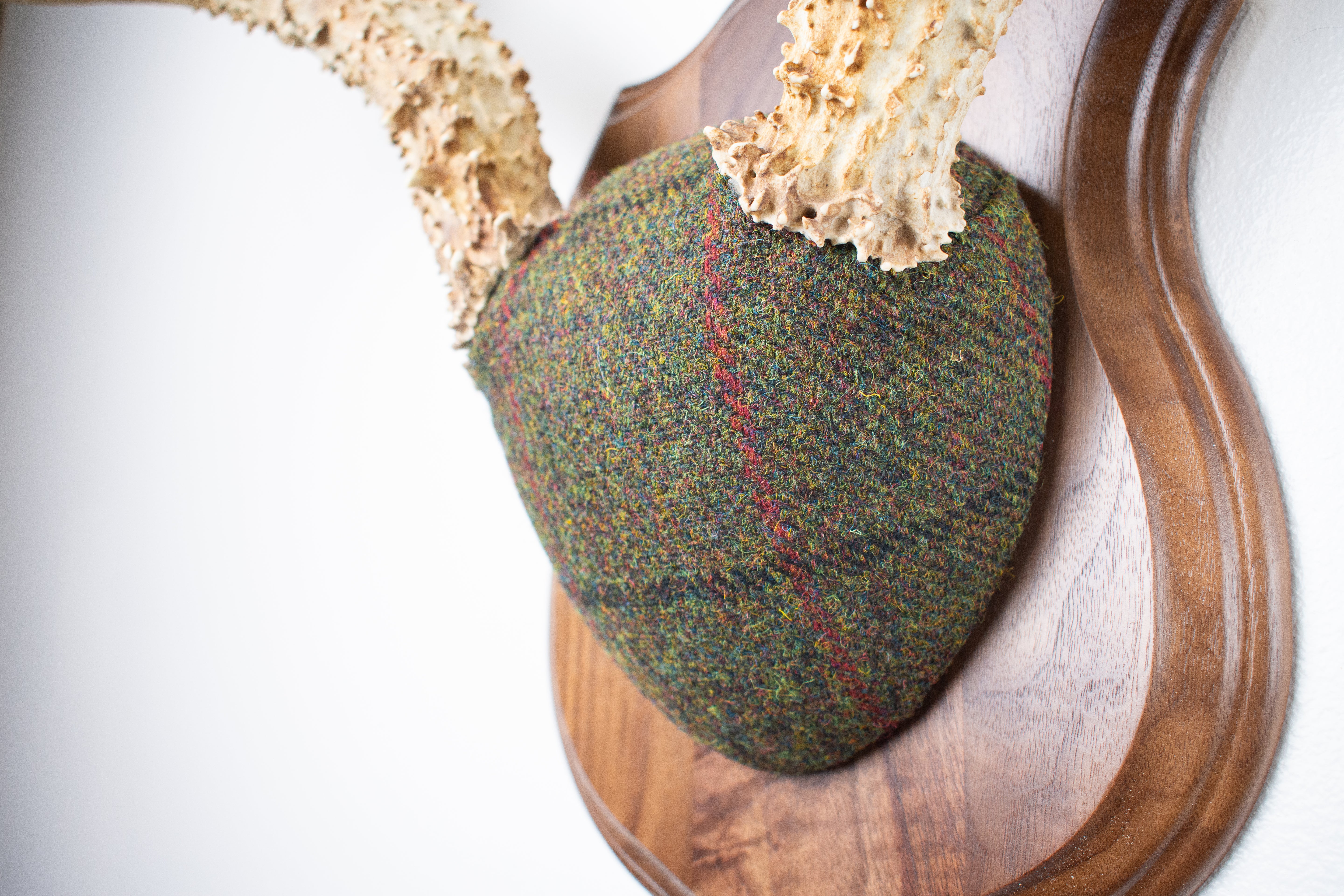 Mule Deer Antler Mount | Green mix with Black and Red Overcheck | 39