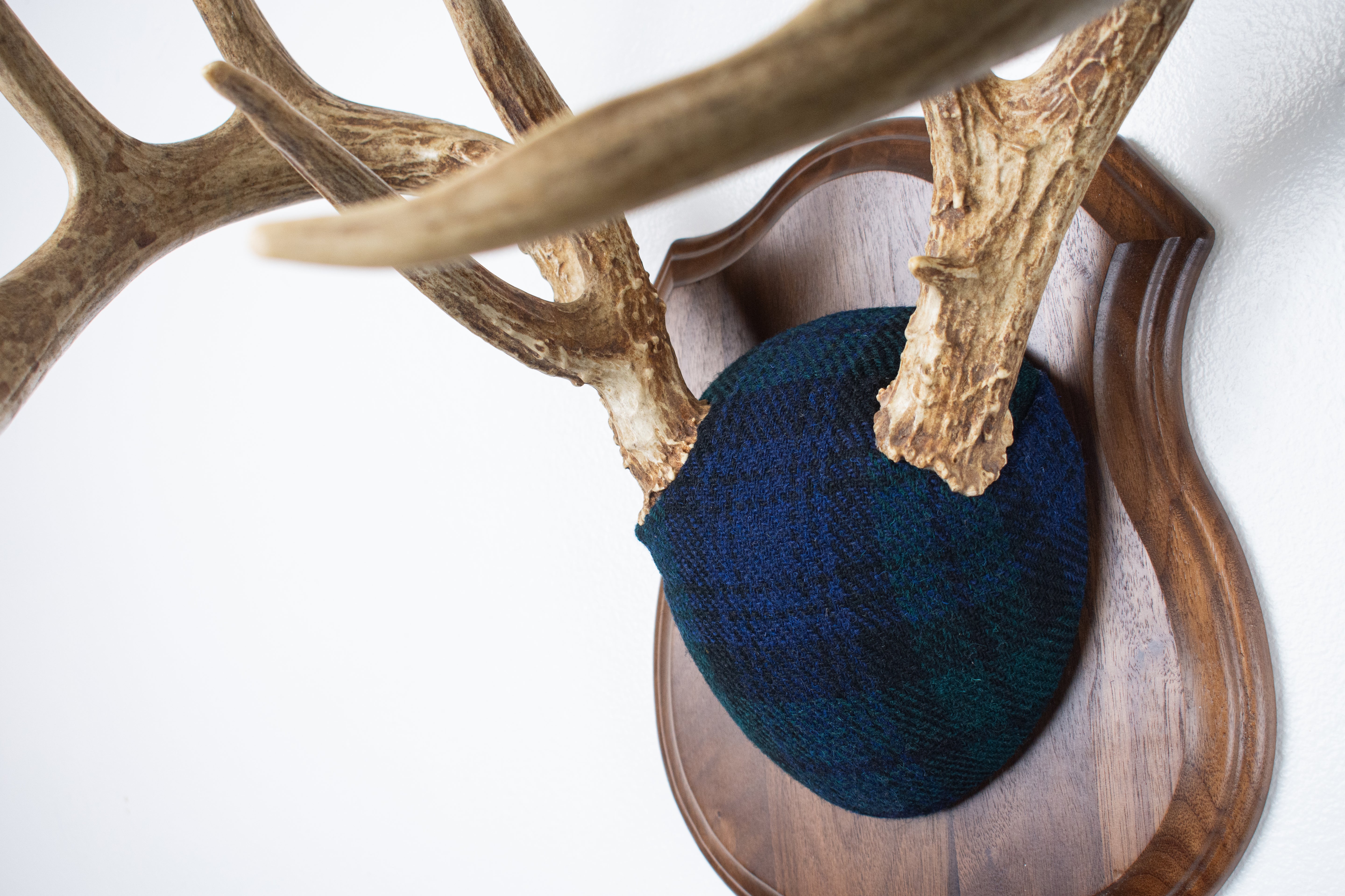 Whitetail Deer Antler Mount | Black Watch Tartan | 40