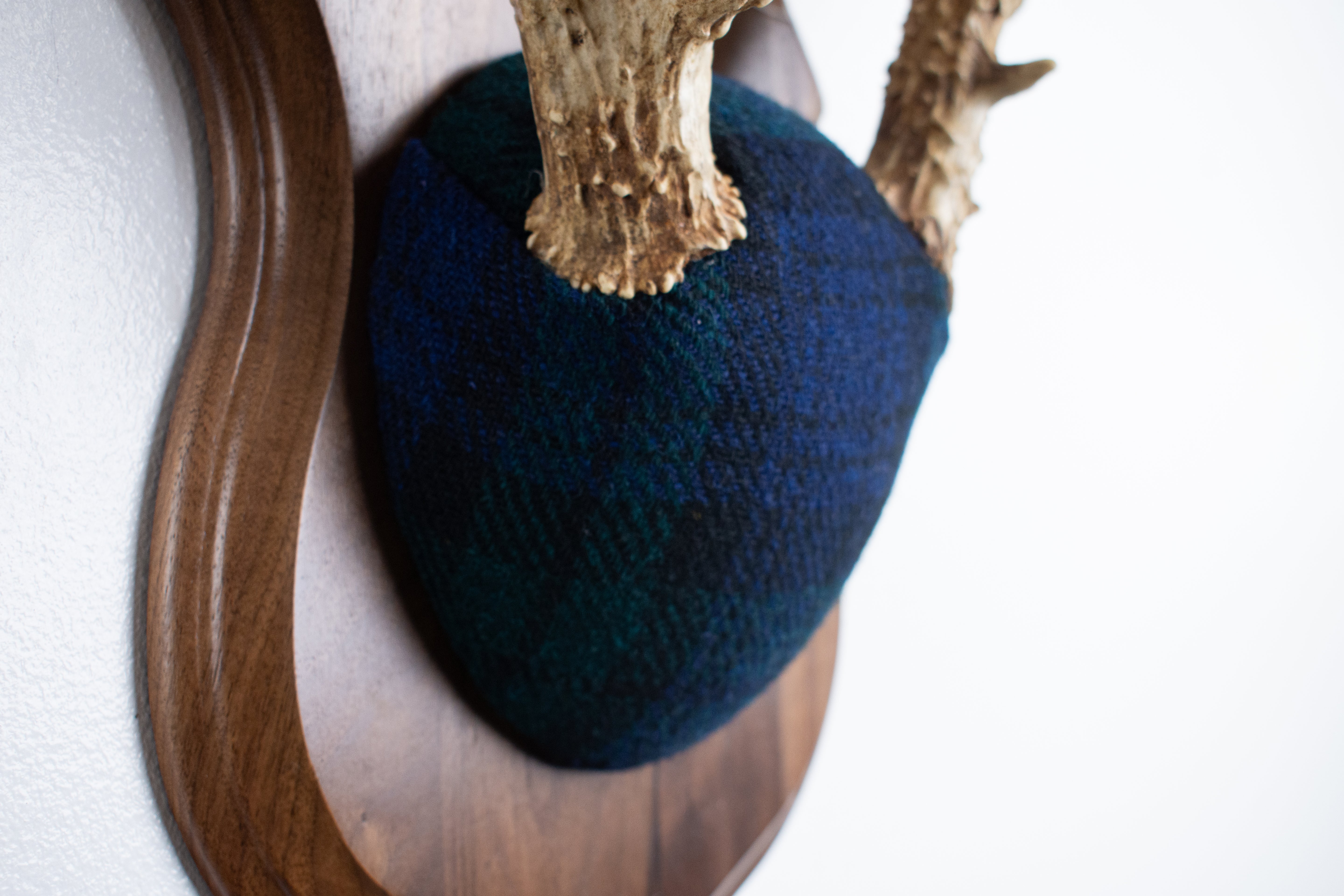 Whitetail Deer Antler Mount | Black Watch Tartan | 40