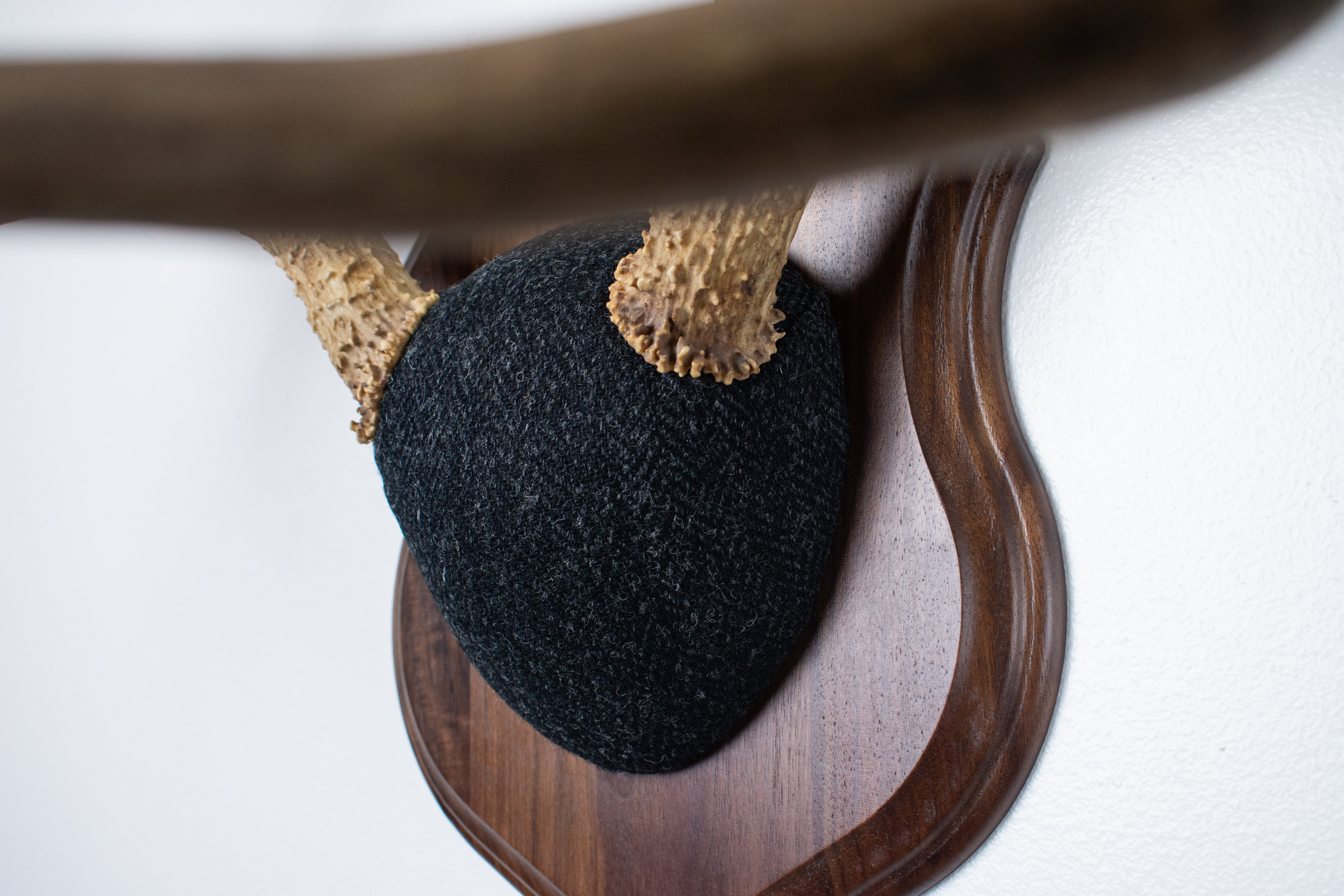 Mule Deer Antler Mount | Black and Charcoal Herringbone | 42