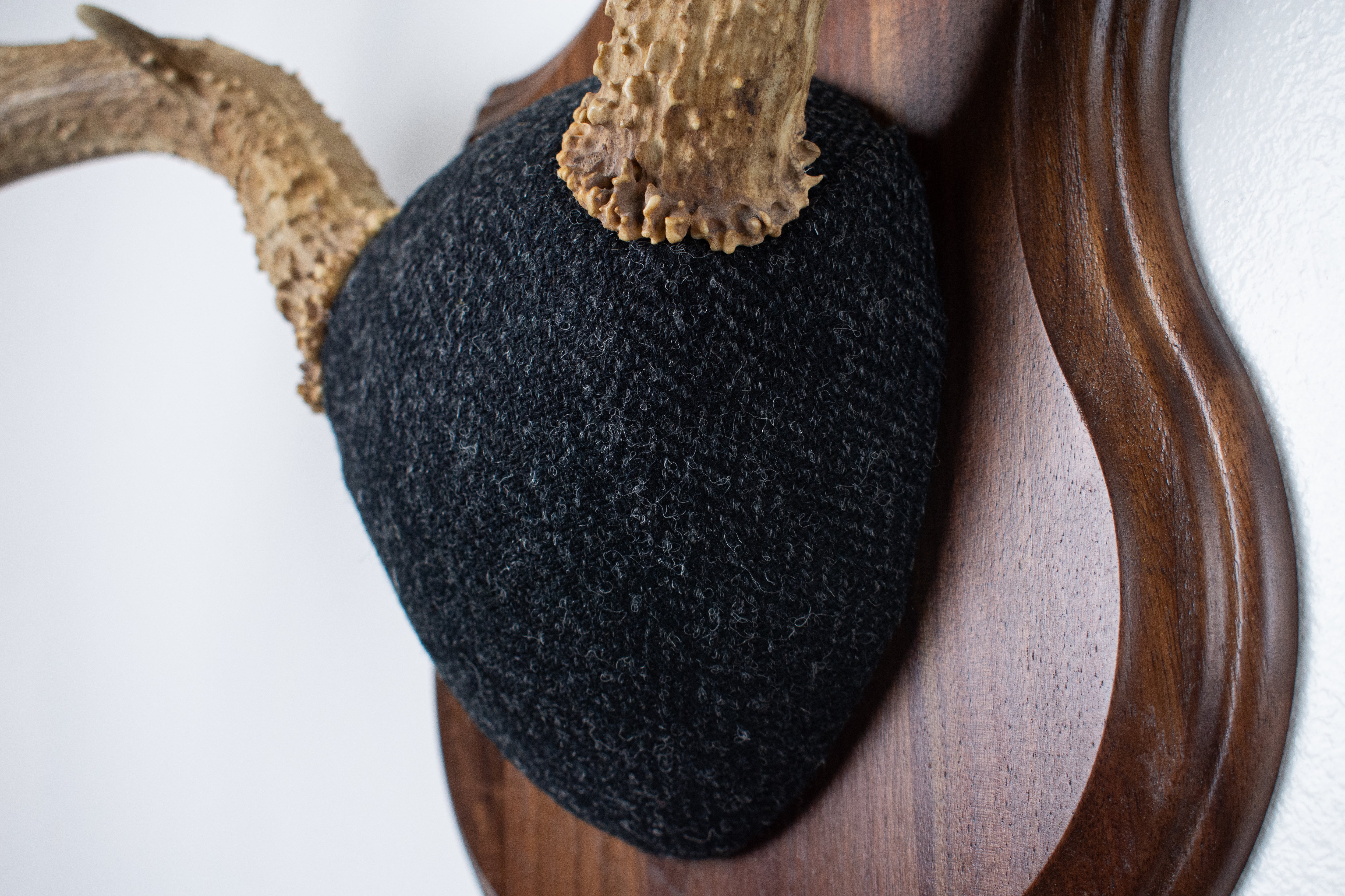 Mule Deer Antler Mount | Black and Charcoal Herringbone | 42
