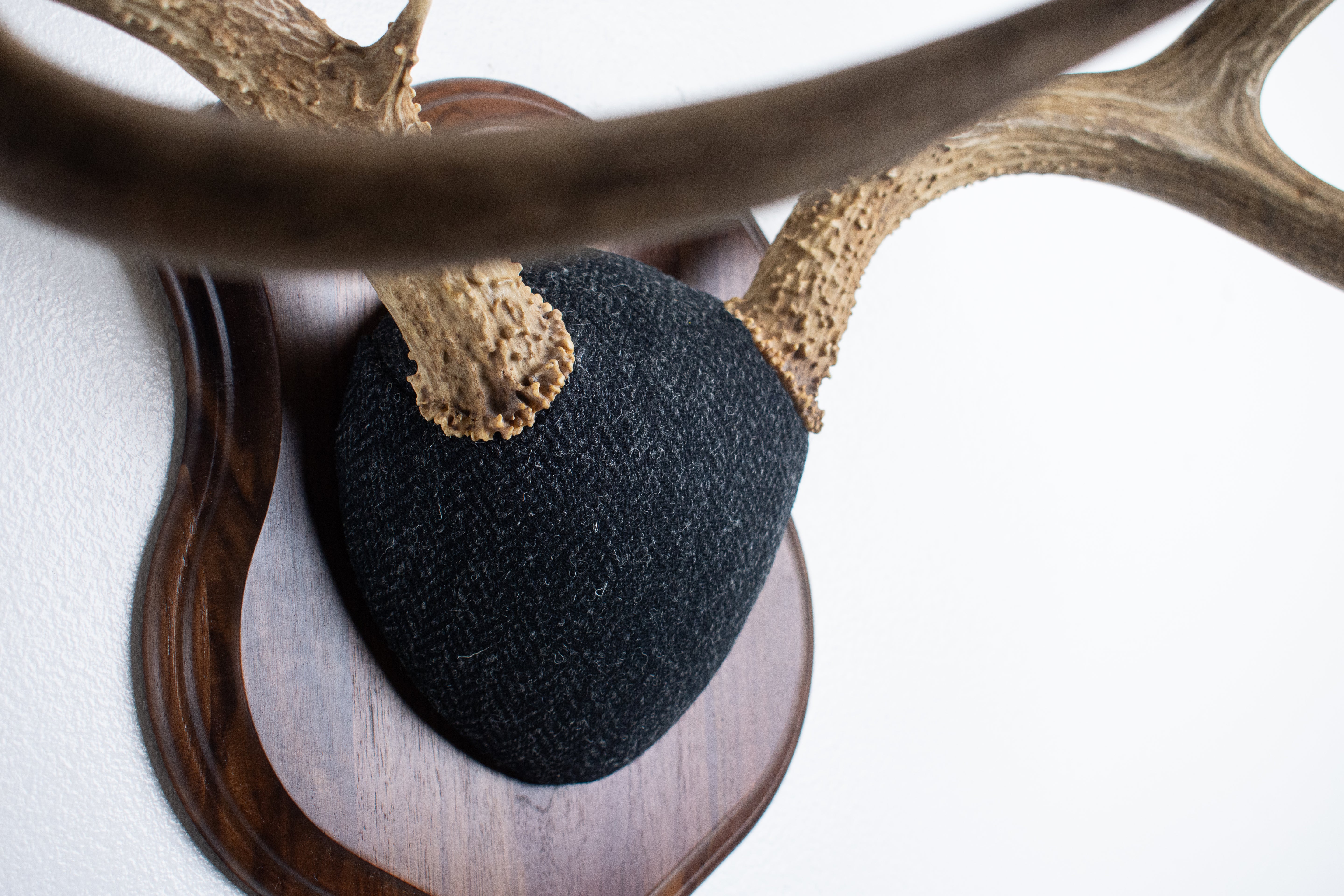 Mule Deer Antler Mount | Black and Charcoal Herringbone | 42