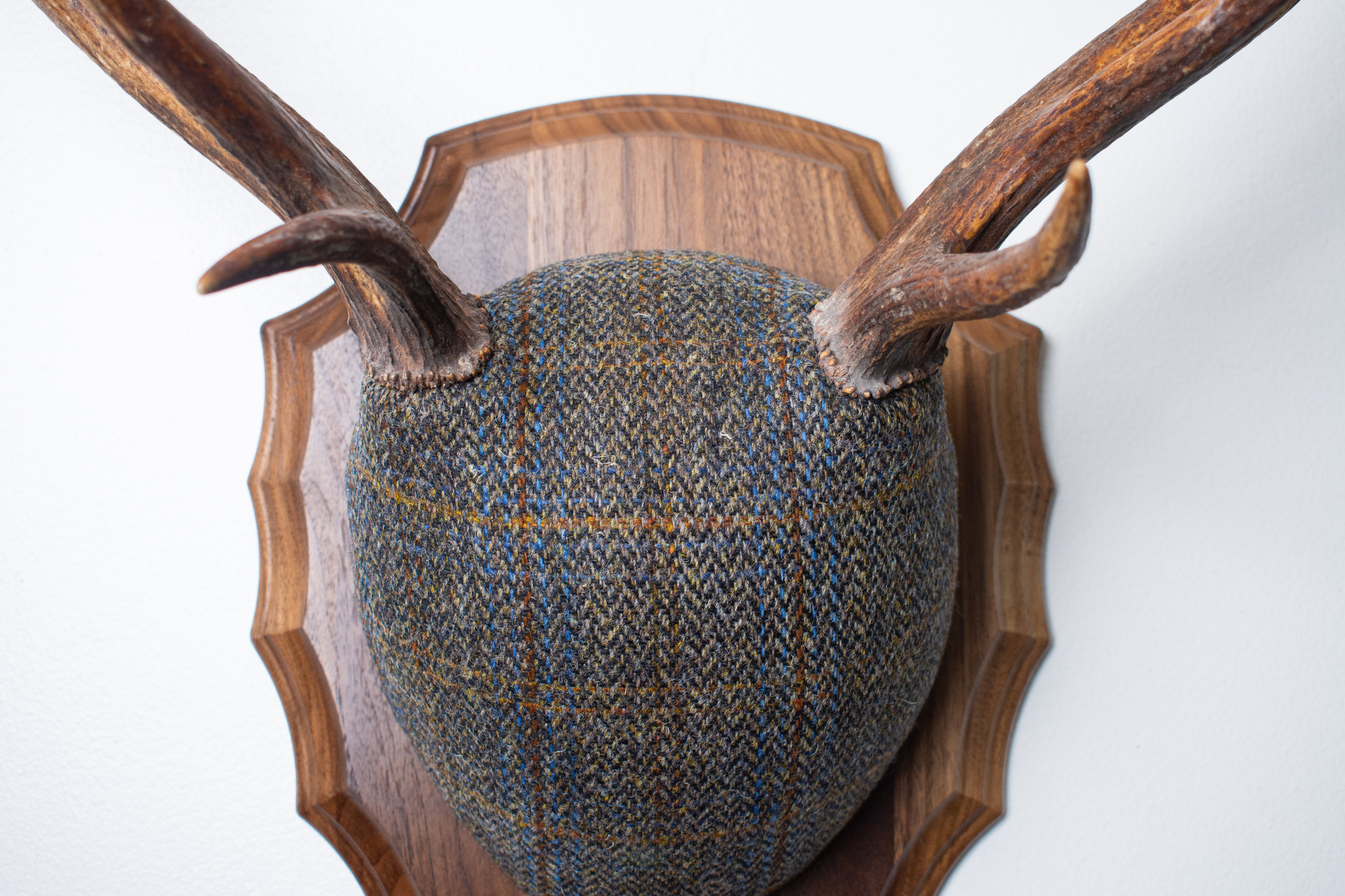 Elk Antler Mount | Green and Blue Herringbone with Rust Overcheck | 44