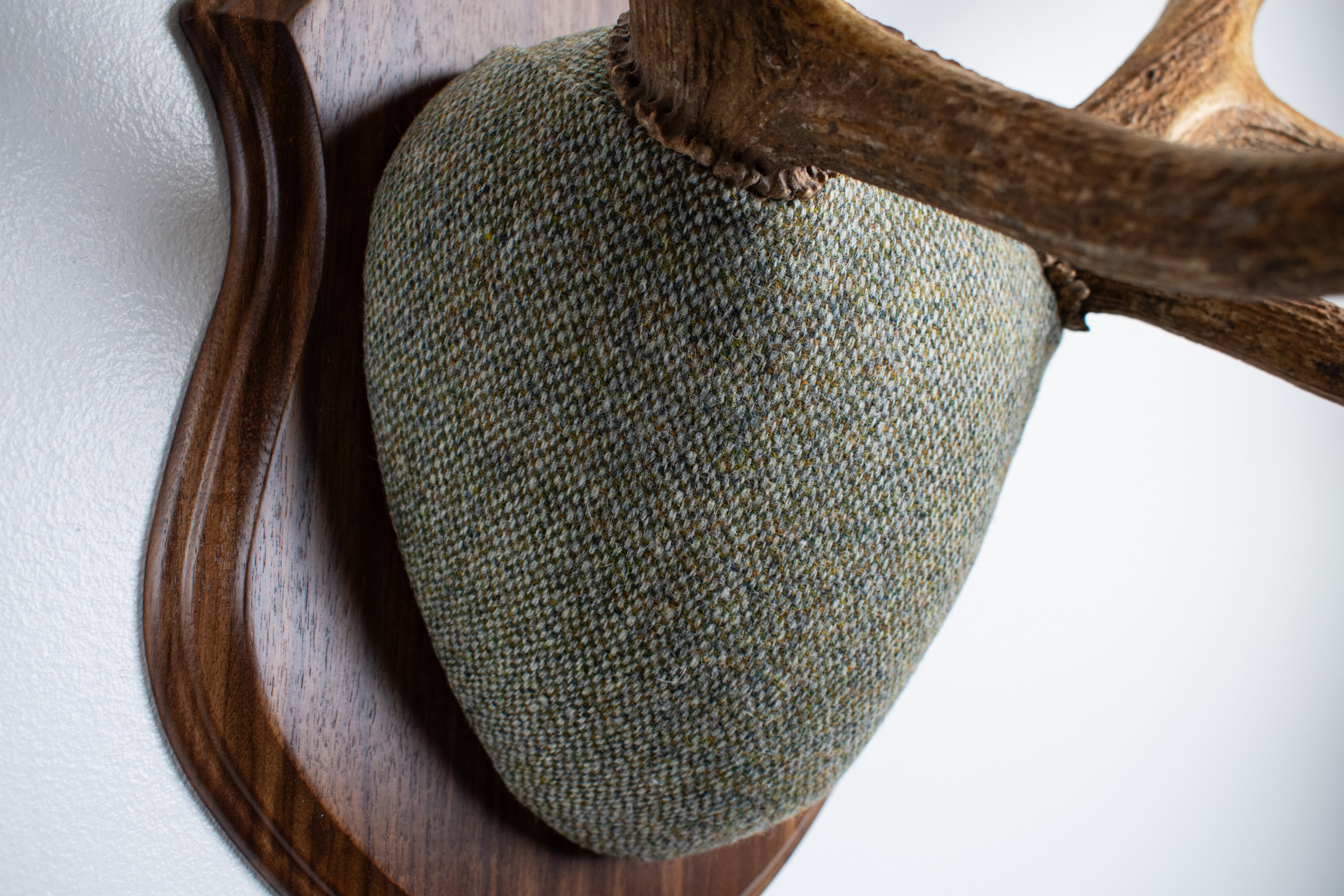 Elk Antler Mount | Green & Beige Barleycorn | 46