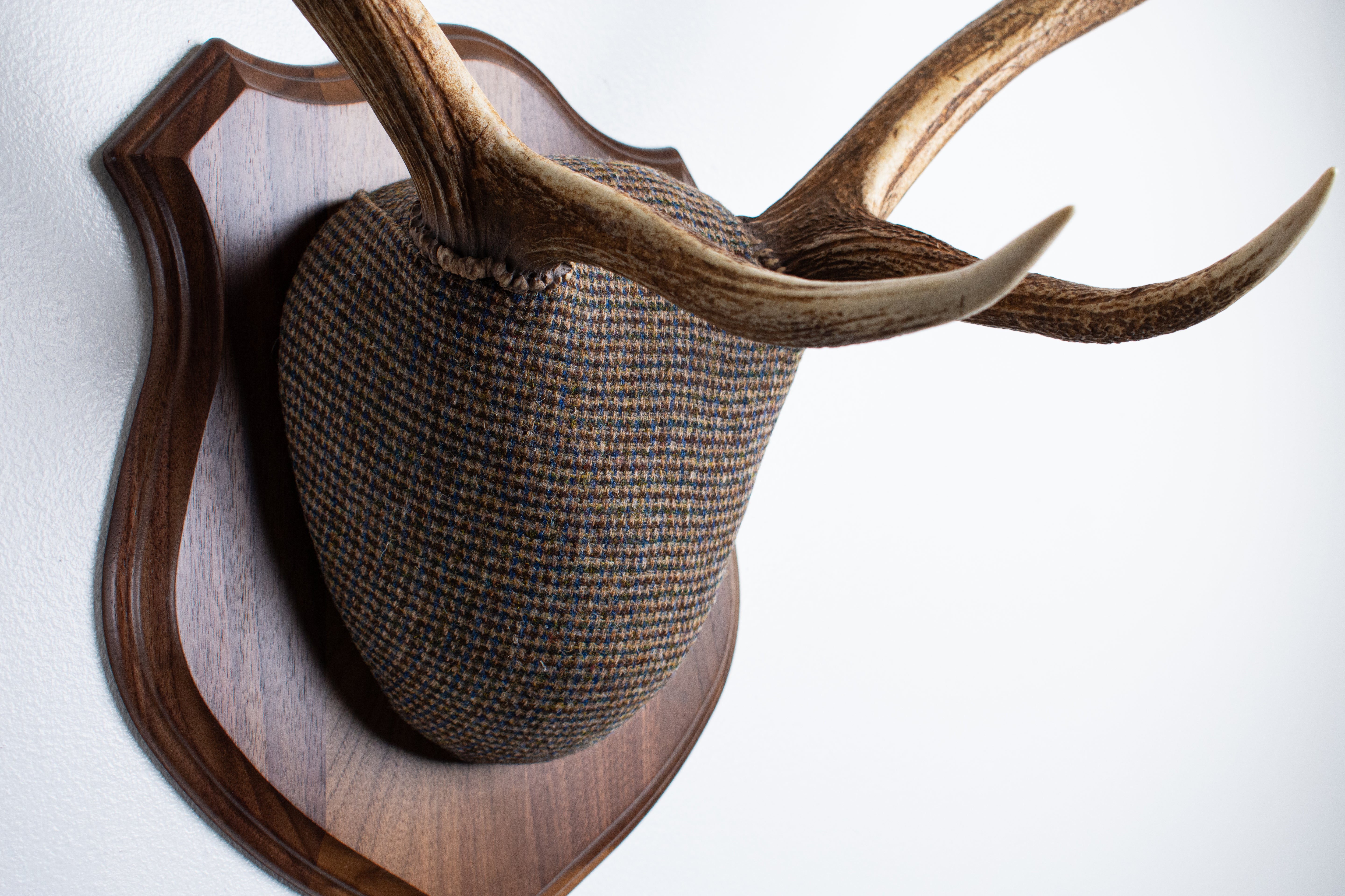 Elk Antler Mount | Multi-colored | 45