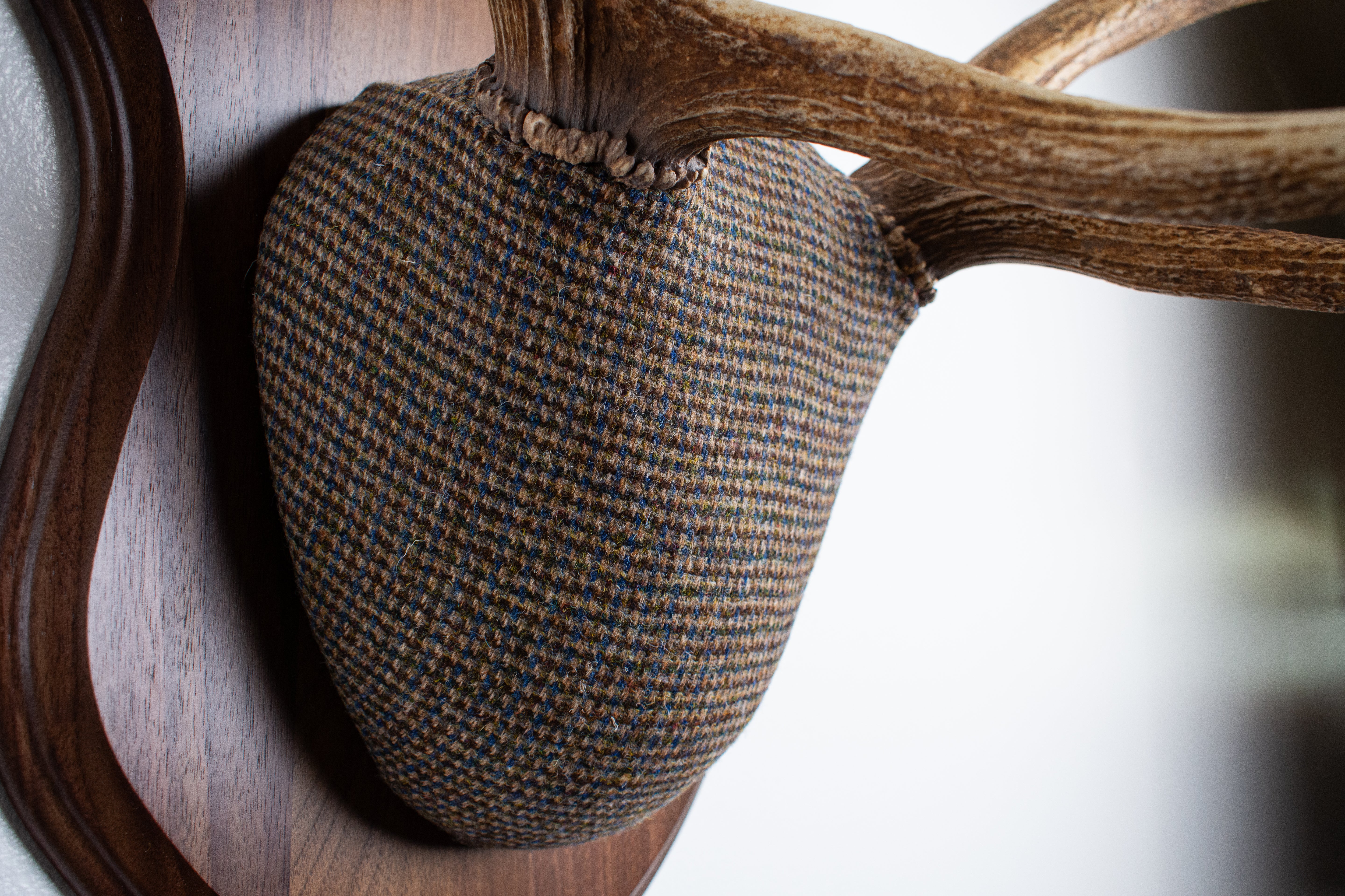 Elk Antler Mount | Multi-colored | 45