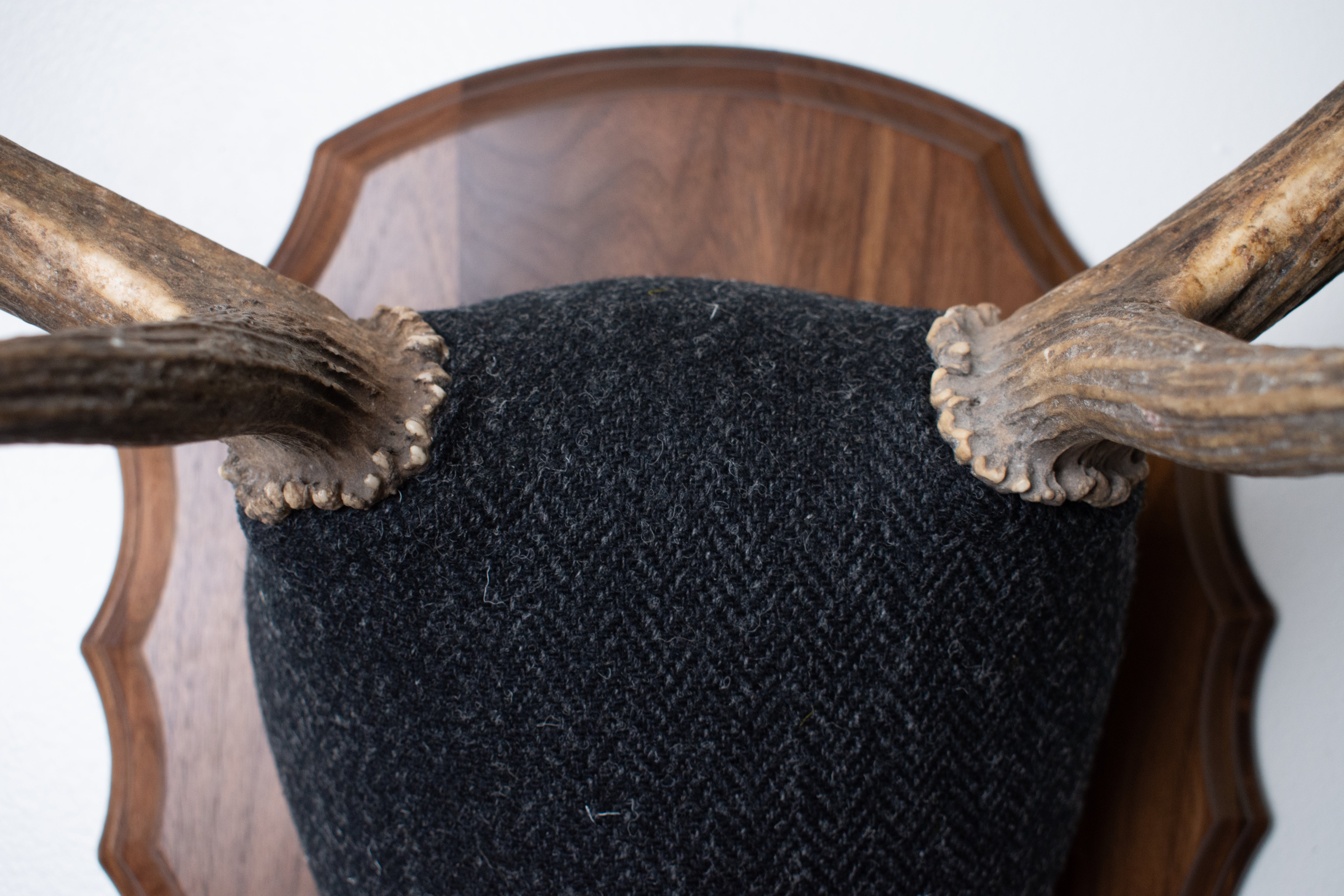 Elk Antler Mount | Black and Charcoal Herringbone | 43