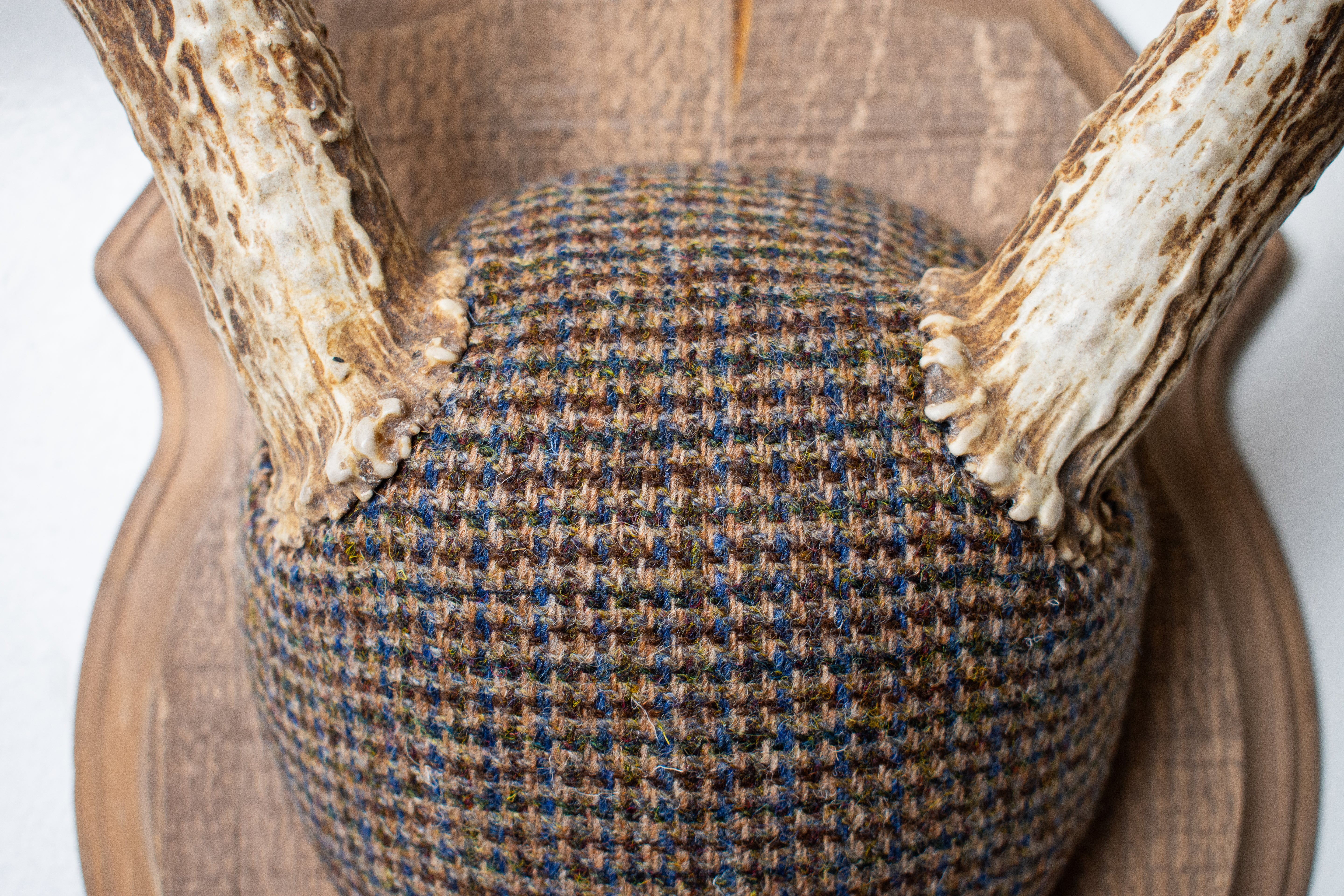 Whitetail Deer Antler Mount | Multi-colored | 48