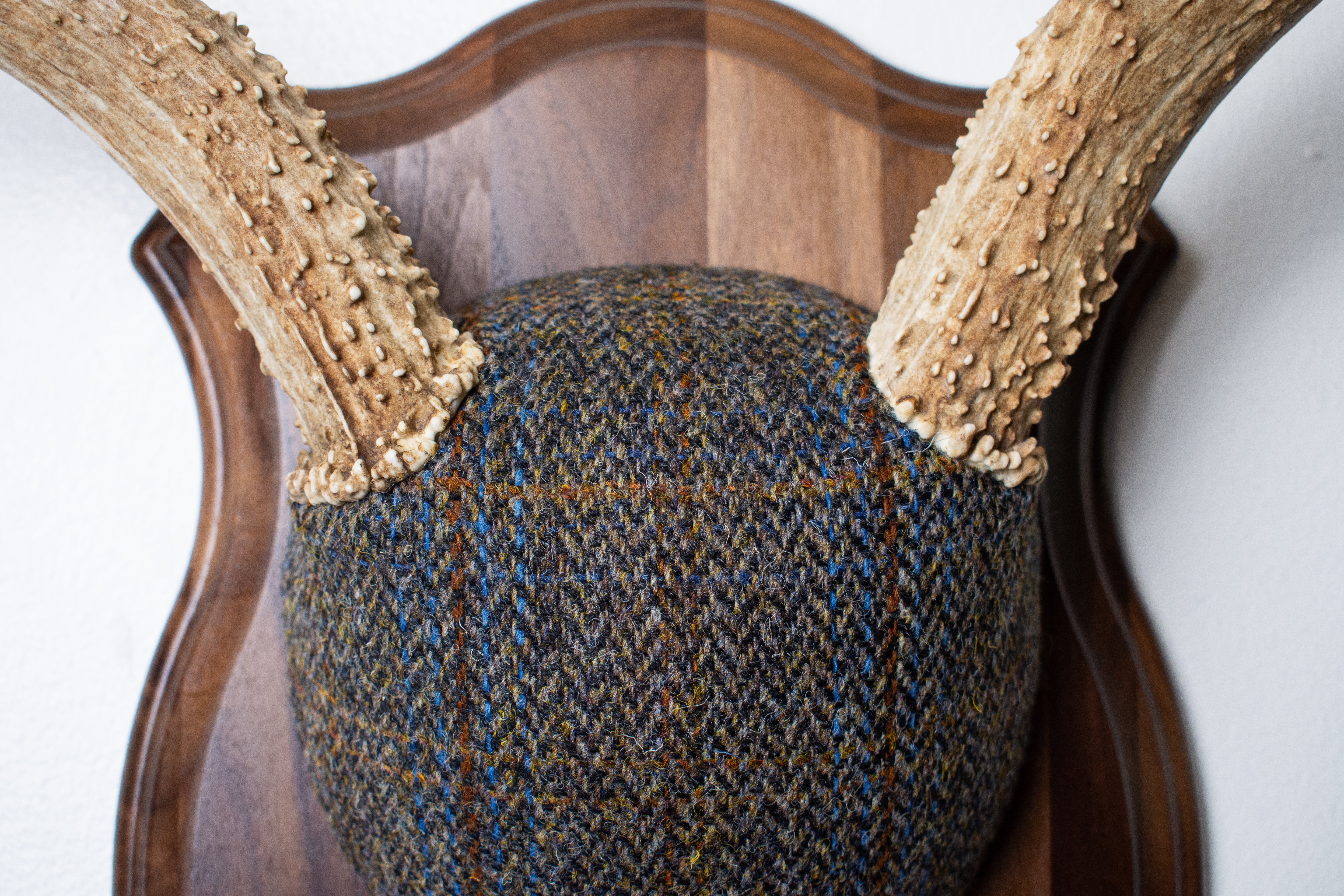 Mule Deer Antler Mount | Green and Blue Herringbone with Rust Overcheck | 50