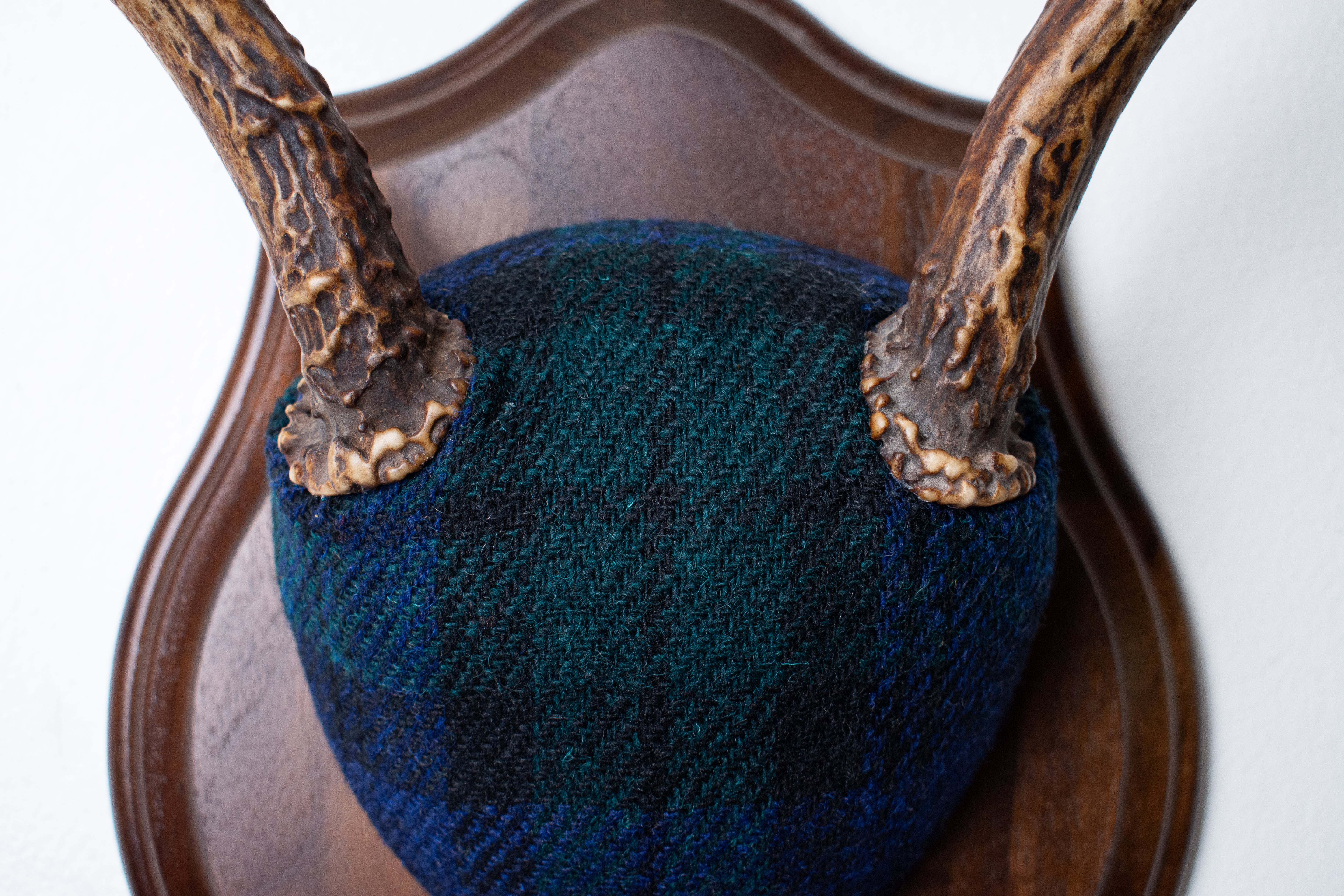 Blacktail Deer Antler Mount | Black Watch Tartan | 52