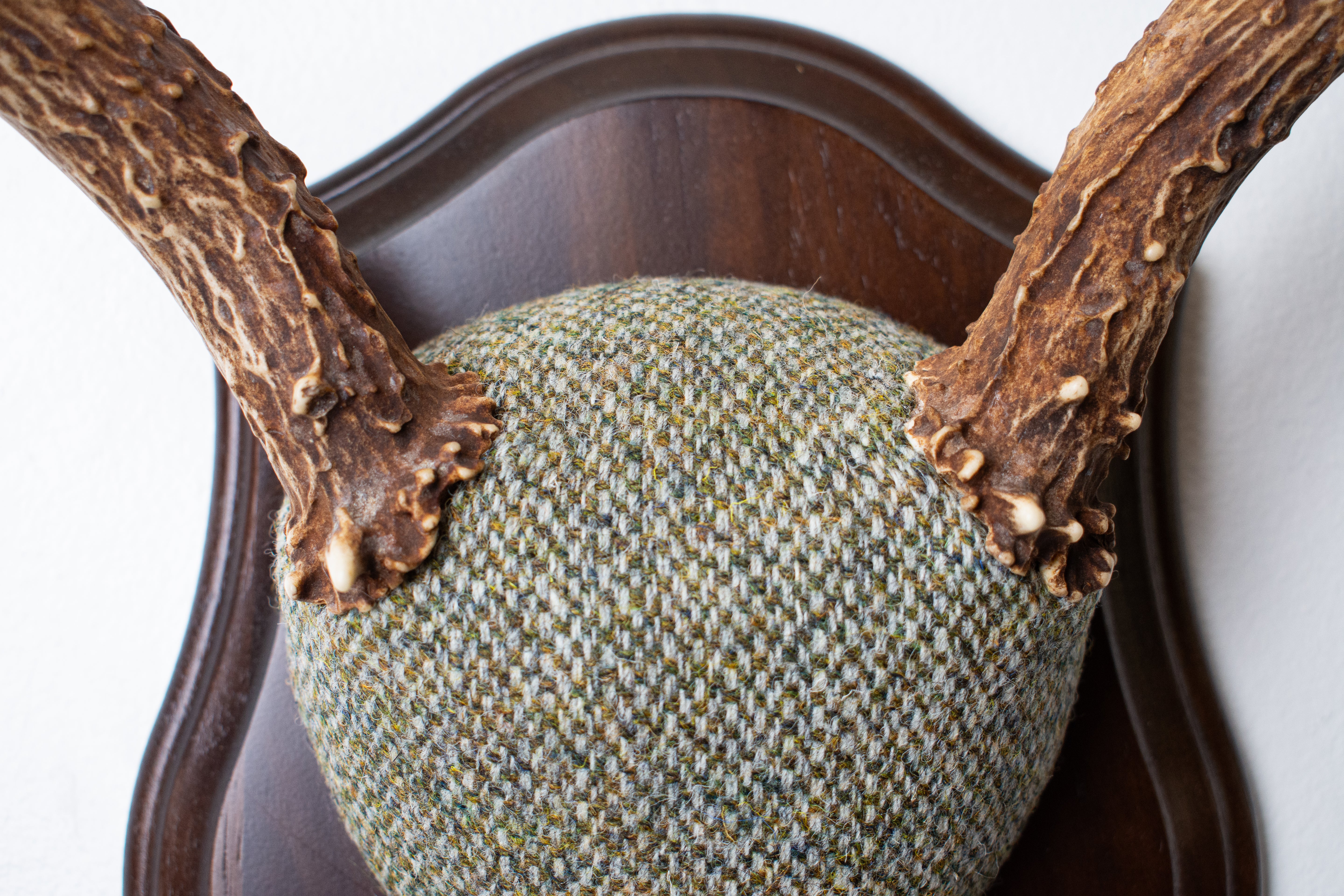 Mule Deer Antler Mount | Green & Beige Barleycorn | 53