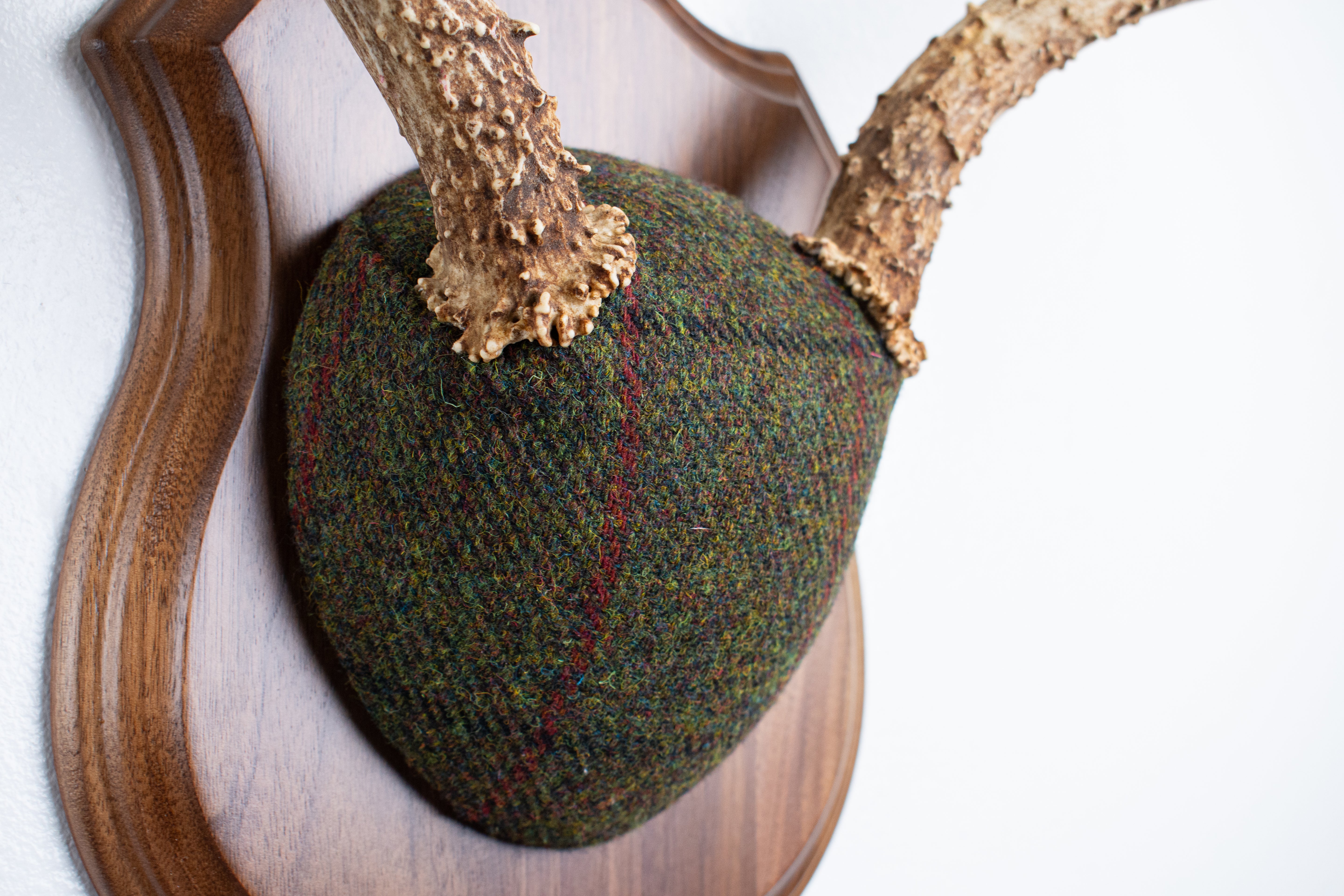 Mule Deer Antler Mount | Green mix with Black and Red Overcheck | 58