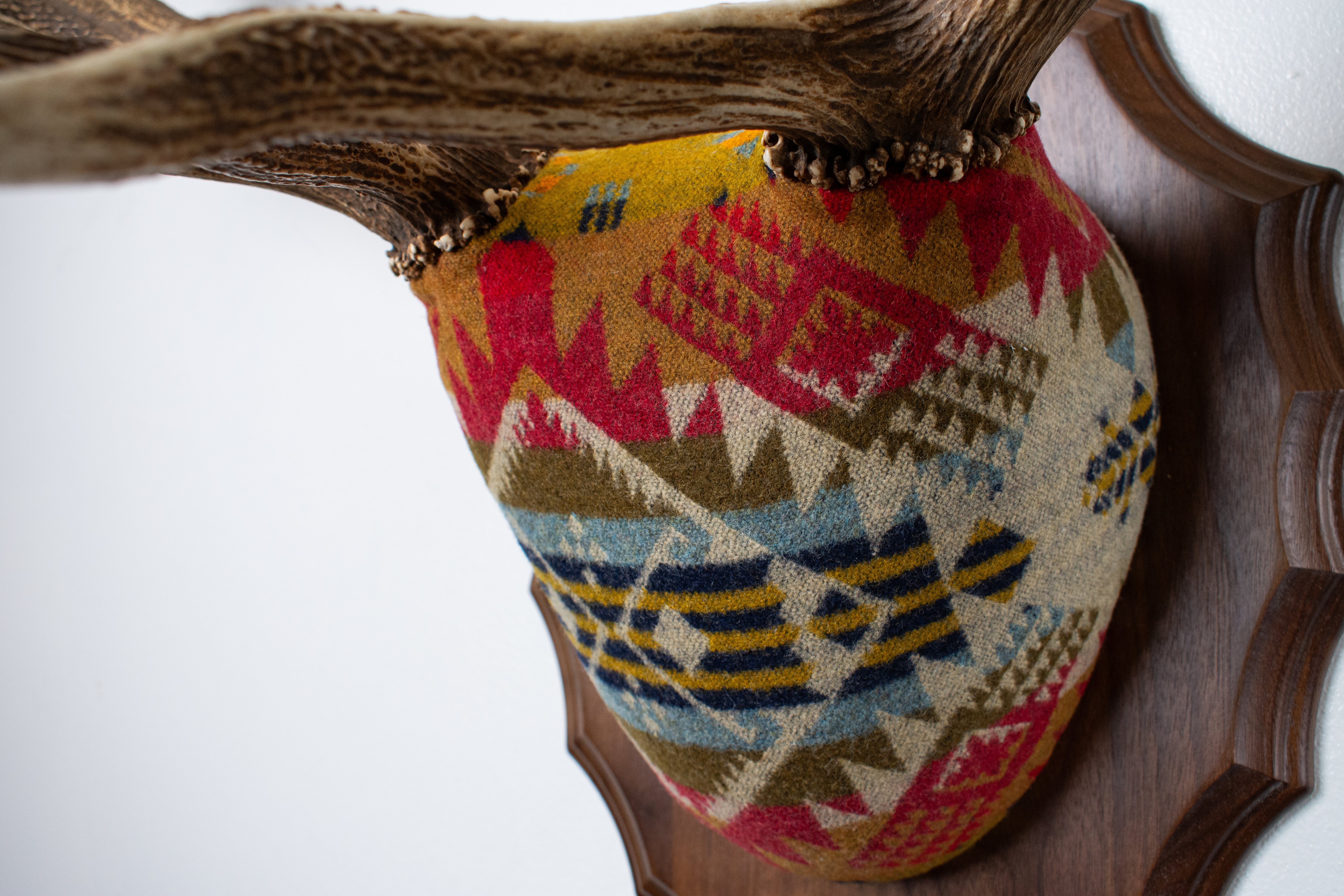 Elk Antler Mount | Canyon | 18