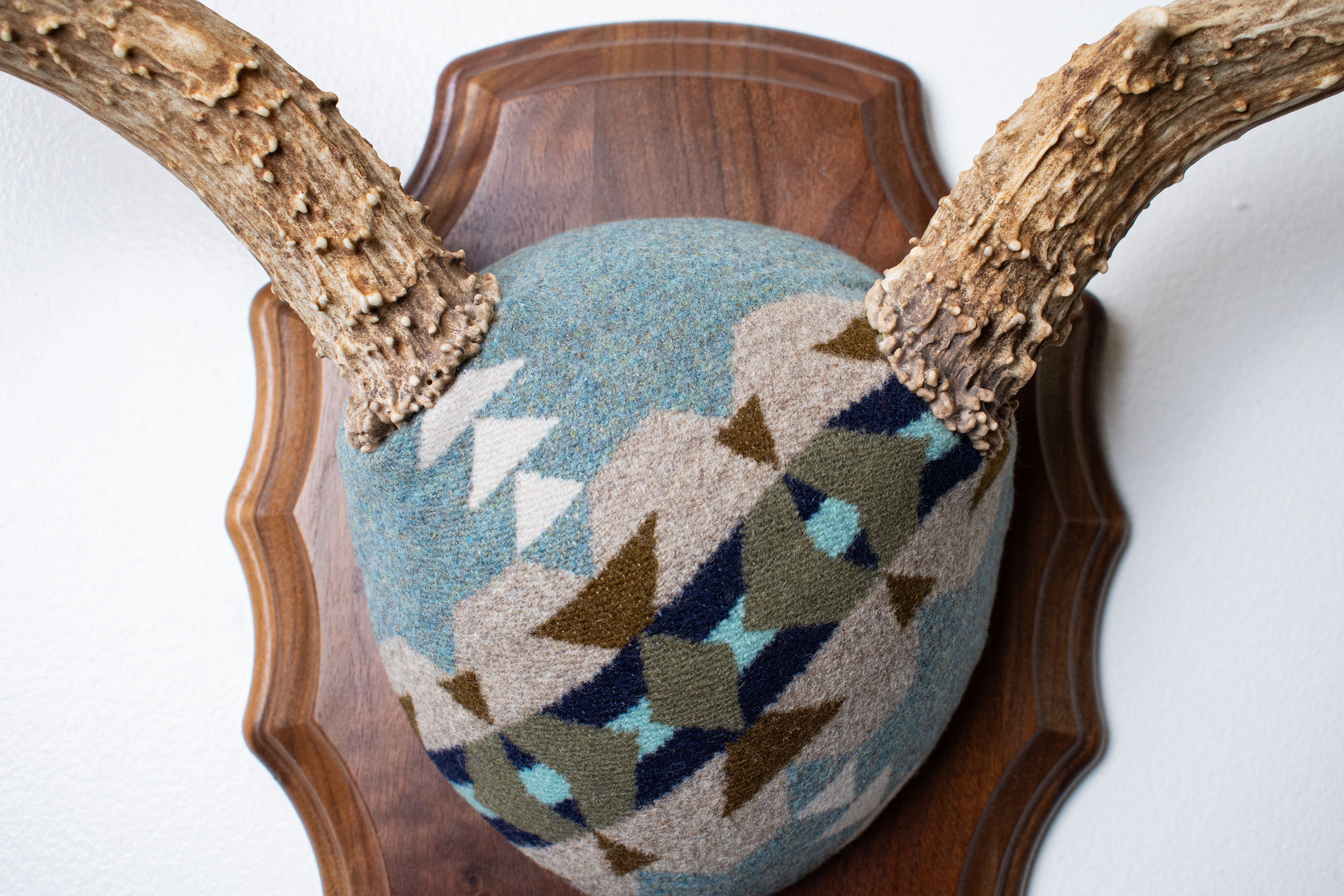 Mule Deer Antler Mount | Stone | 19