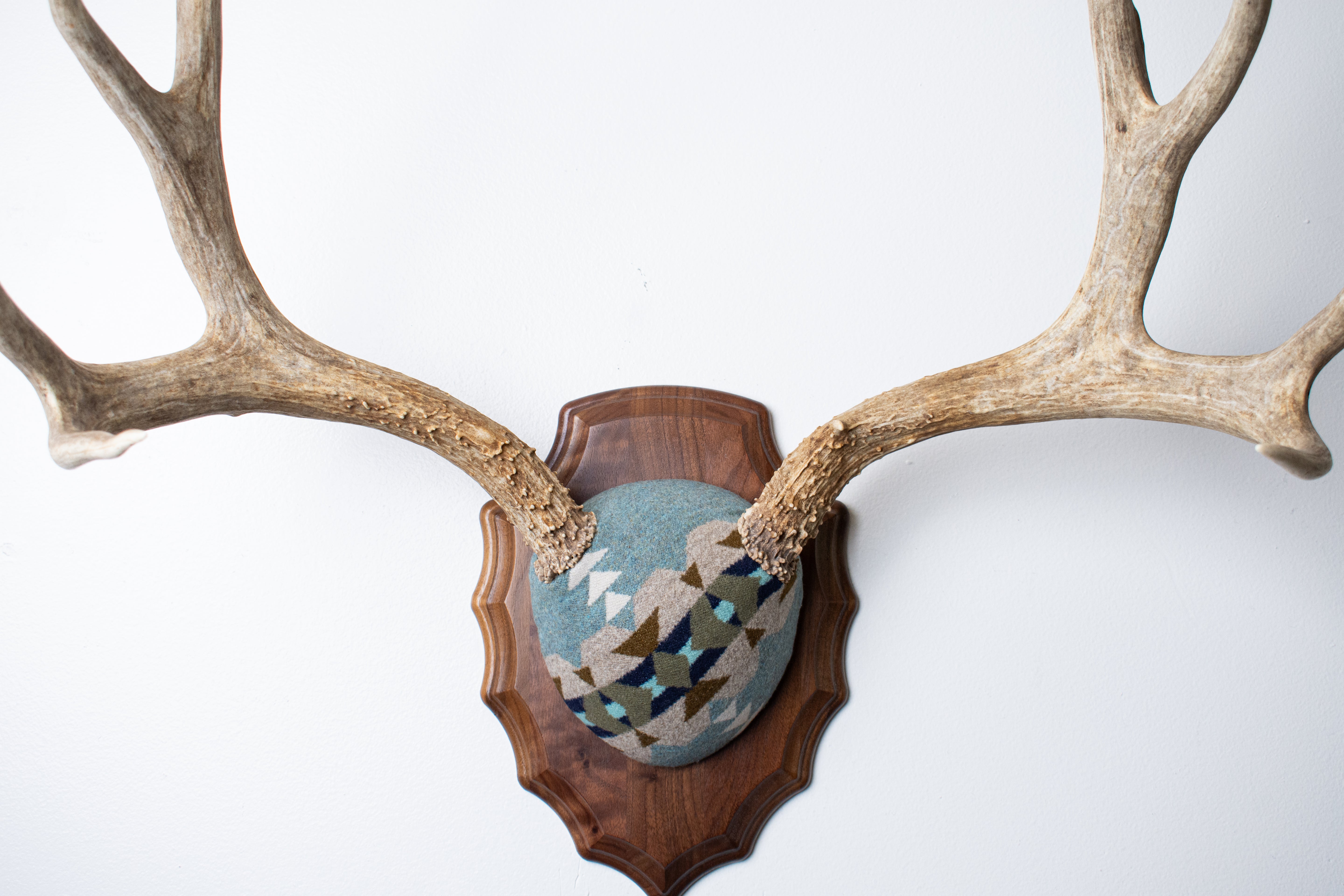 Mule Deer Antler Mount | Stone | 19