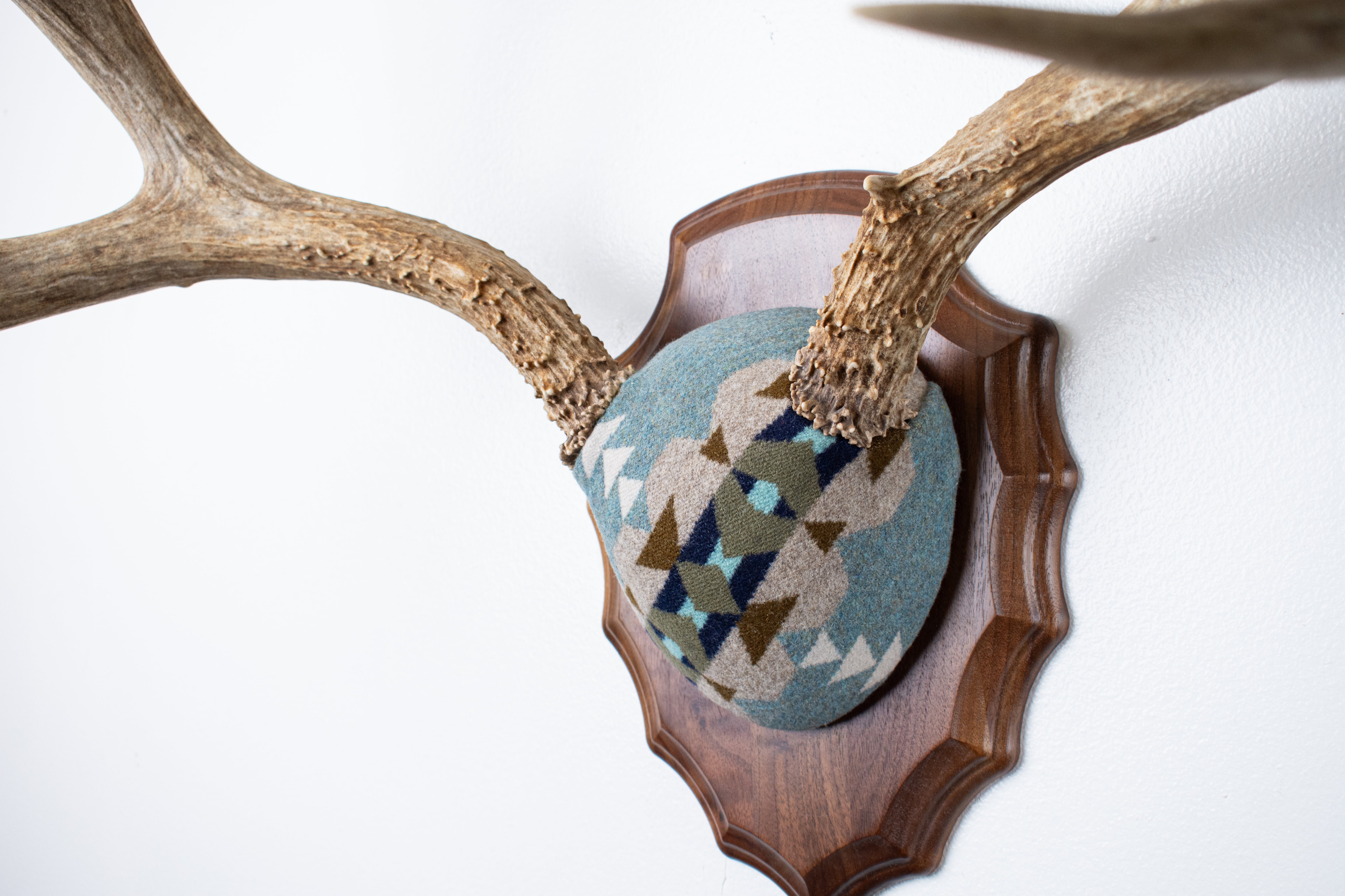 Mule Deer Antler Mount | Stone | 19
