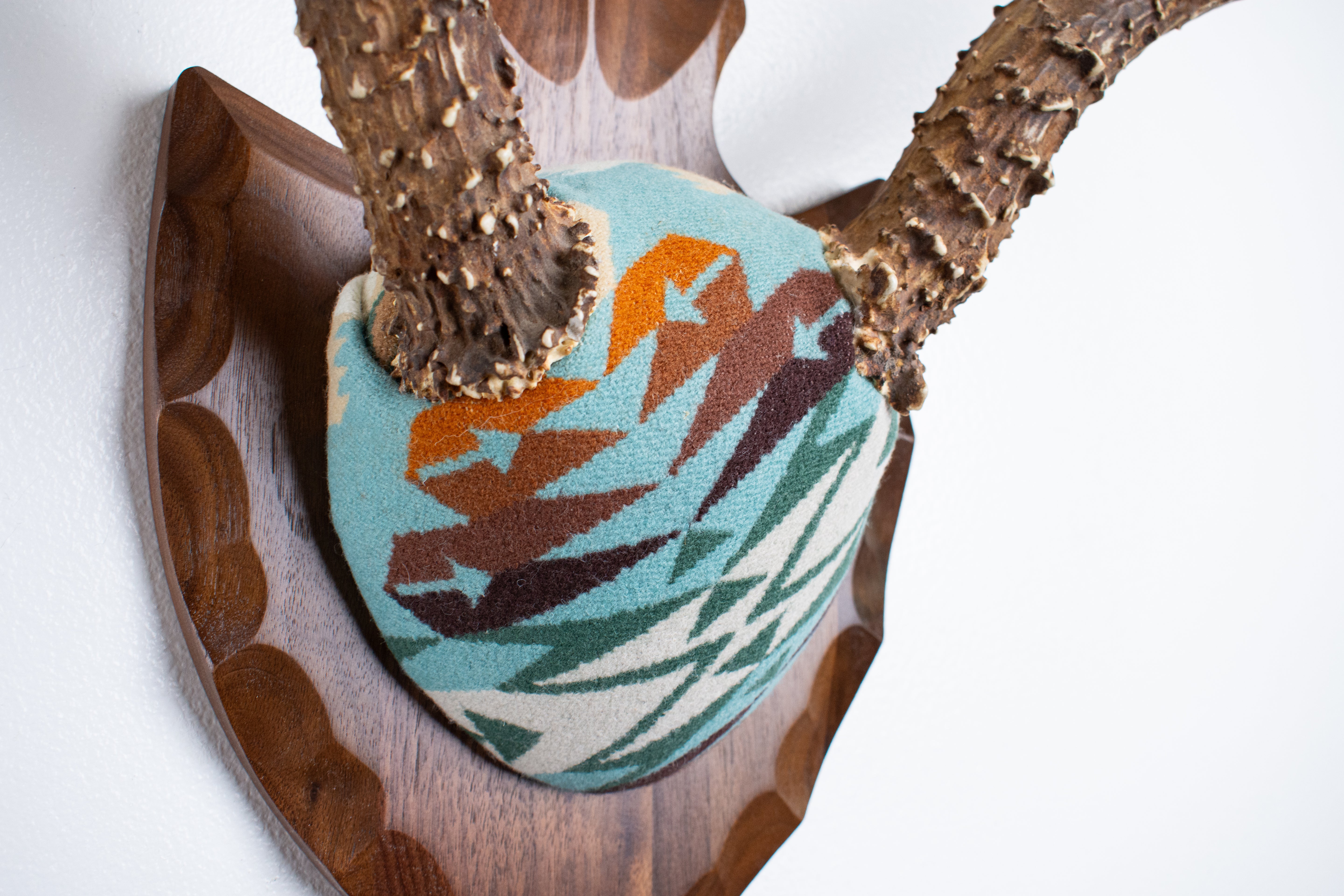 Mule Deer Antler Mount | Juniper | 21