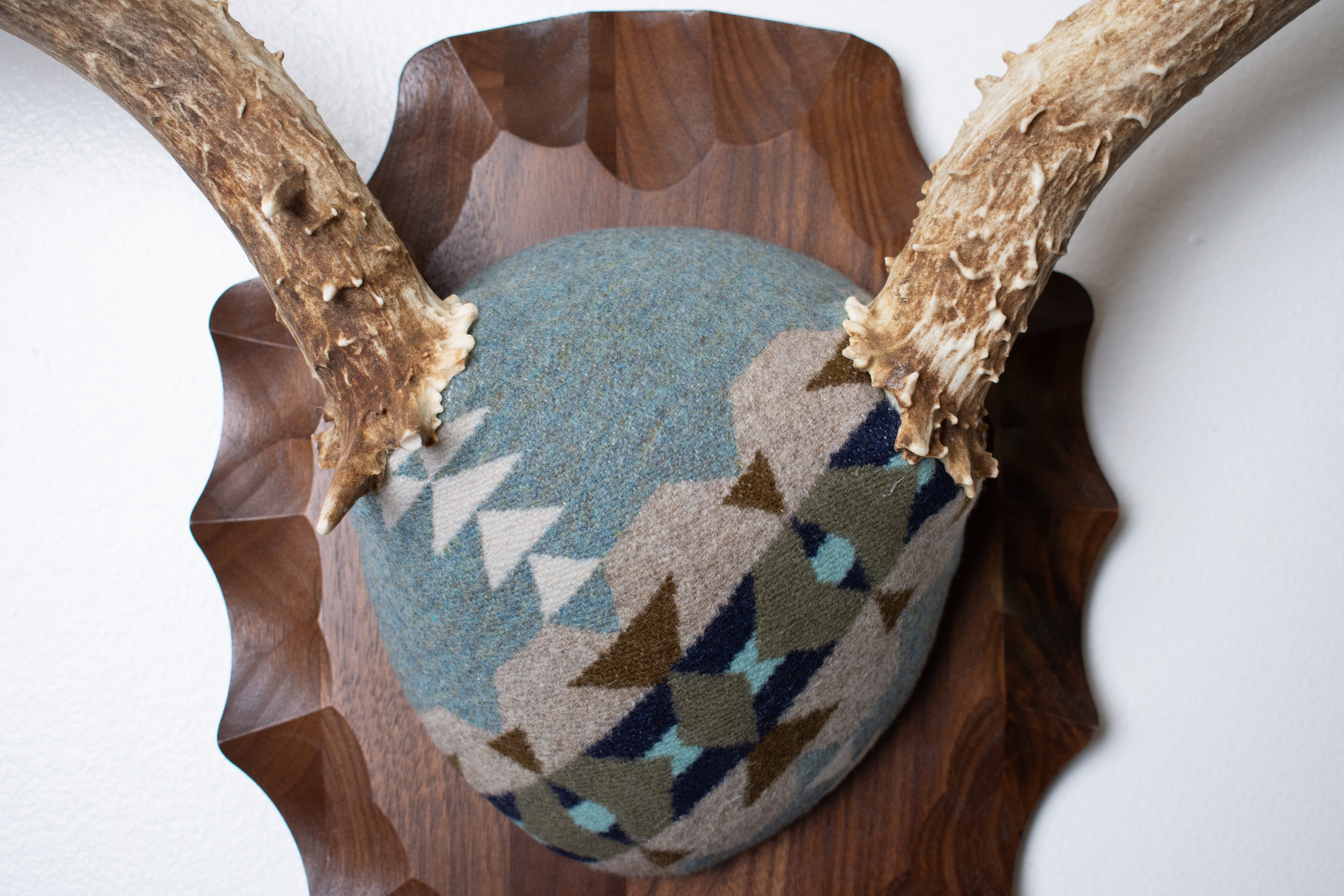 Mule Deer Antler Mount | Stone | 20