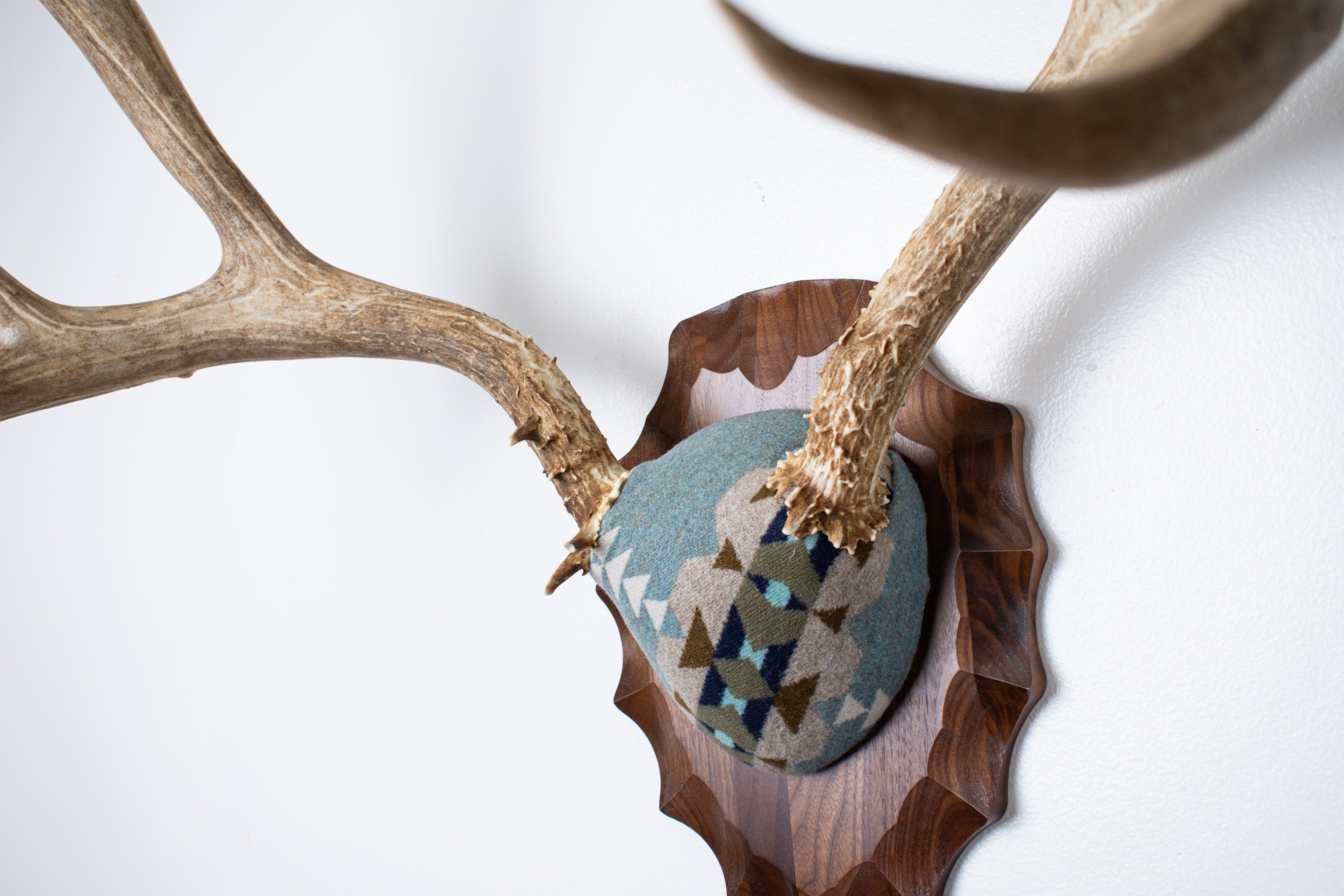 Mule Deer Antler Mount | Stone | 20