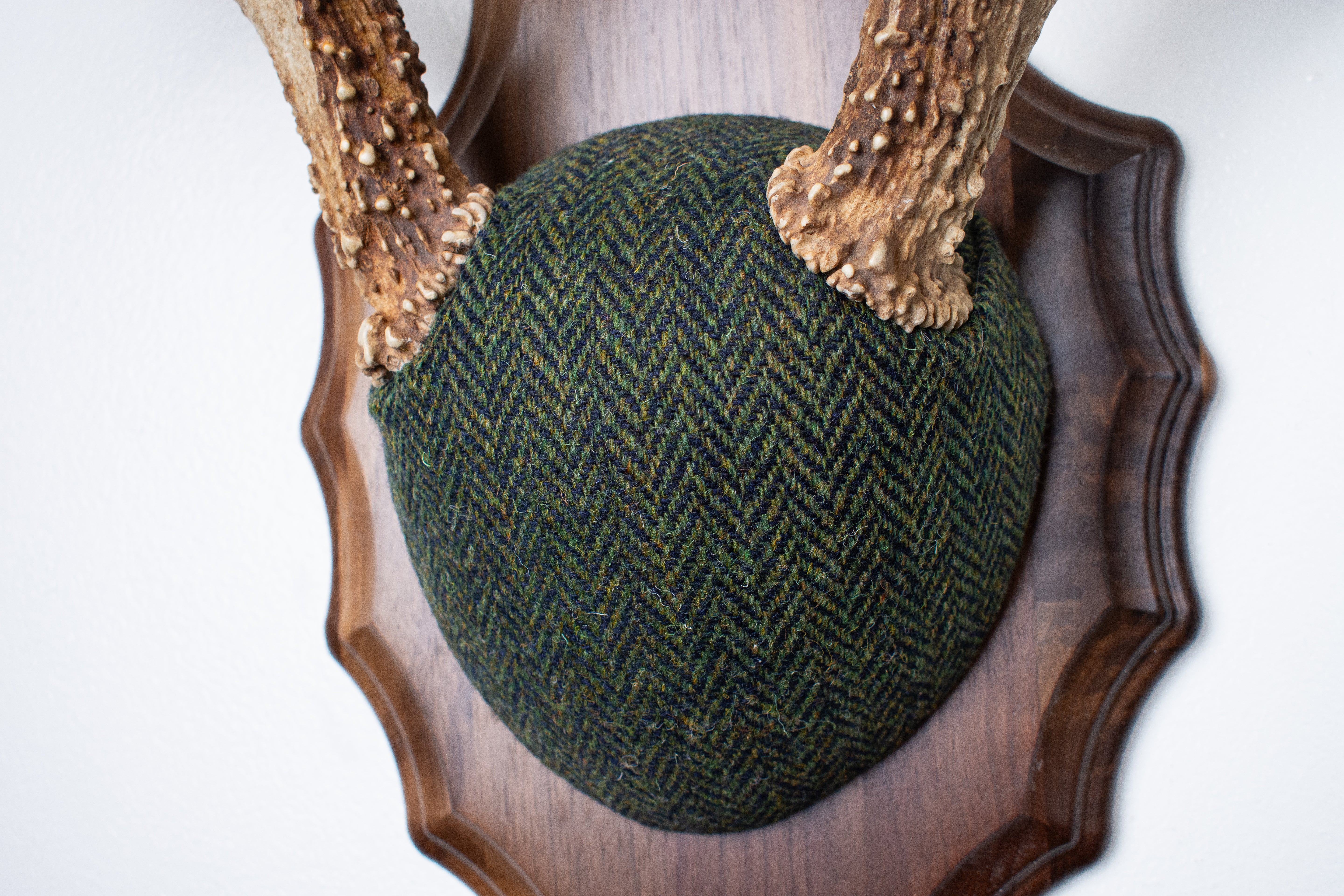 Whitetail Deer Antler Mount | Green & Black Herringbone | 61