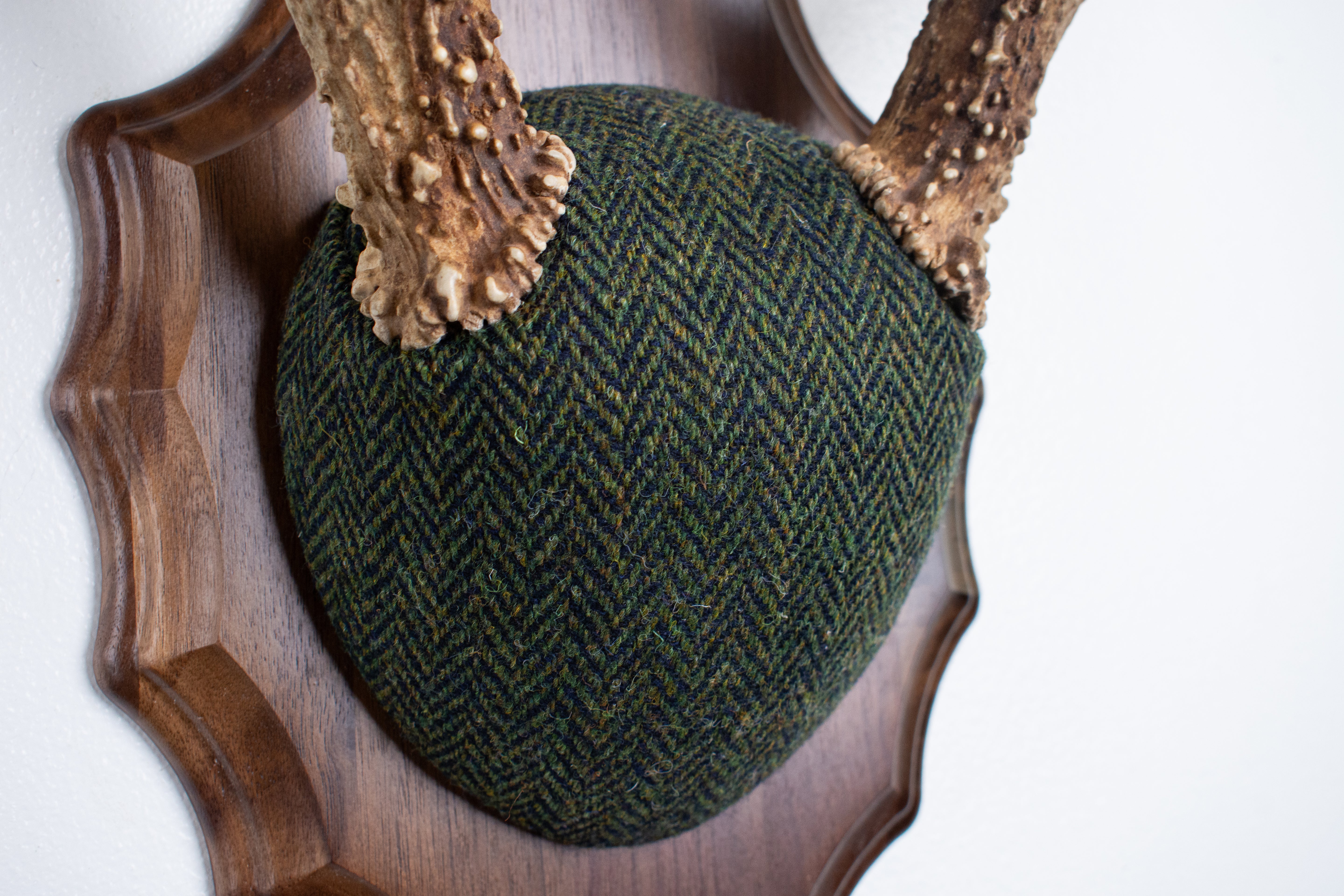 Whitetail Deer Antler Mount | Green & Black Herringbone | 61