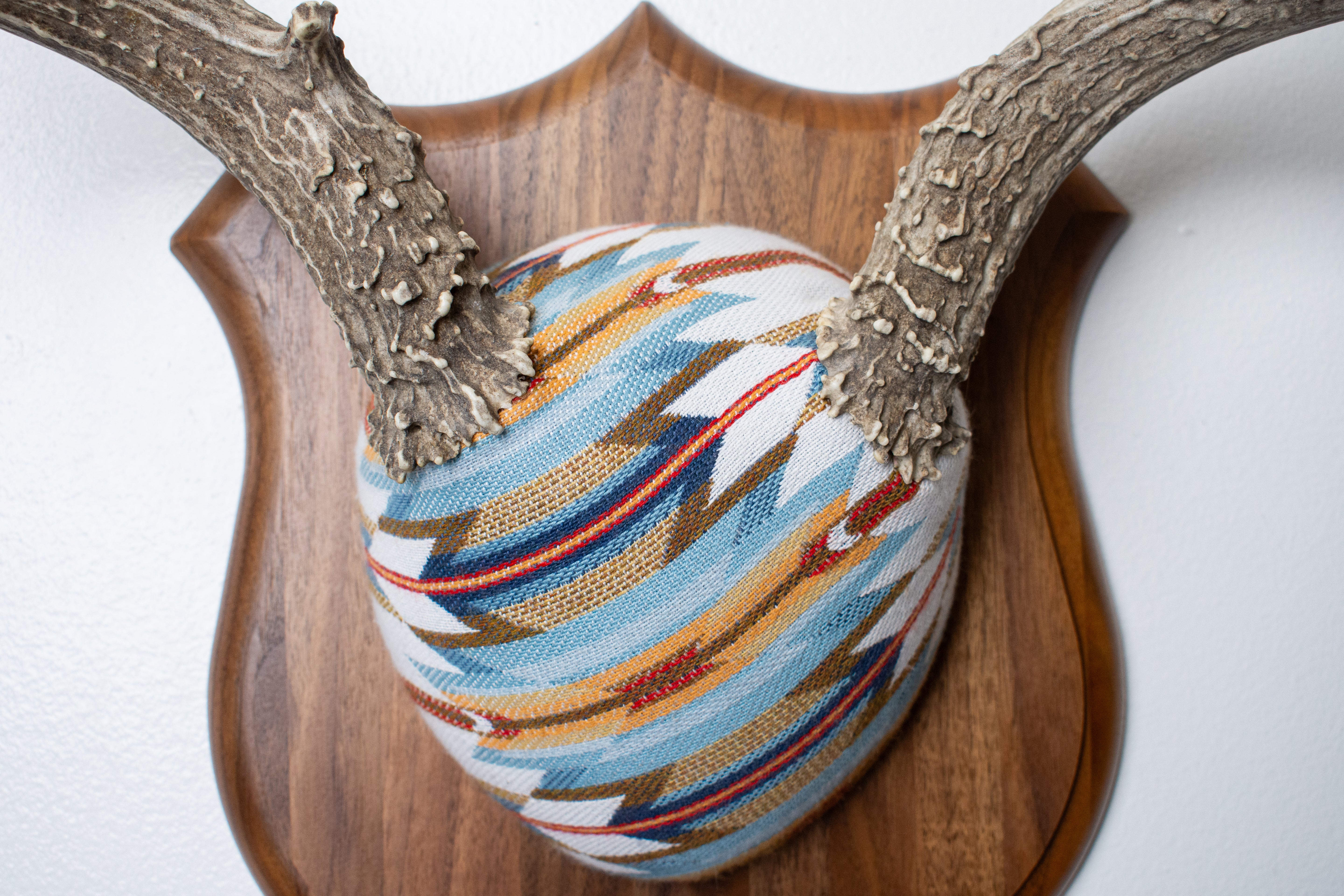 Mule Deer Antler Mount | Sunset | 22