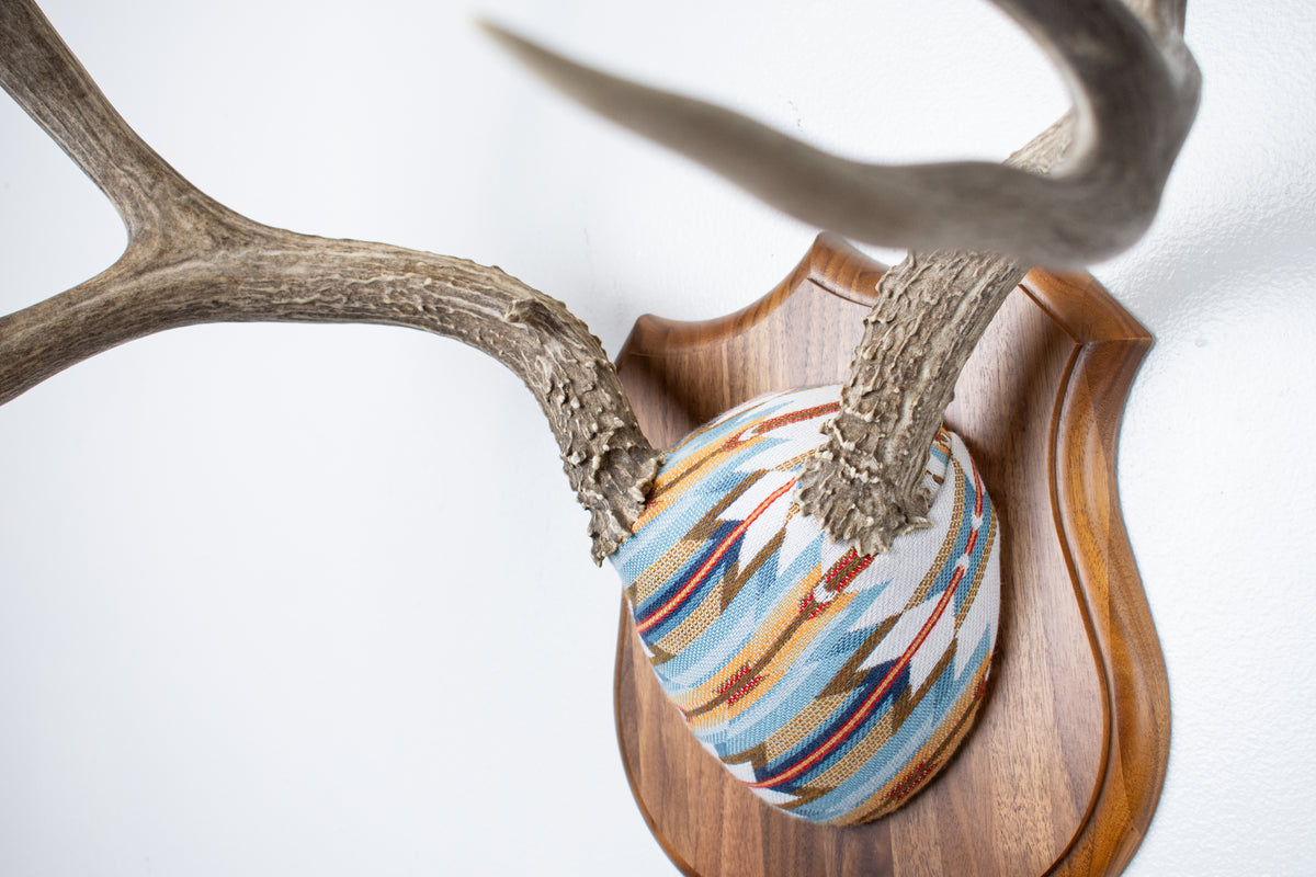 Mule Deer Antler Mount | Sunset | 22