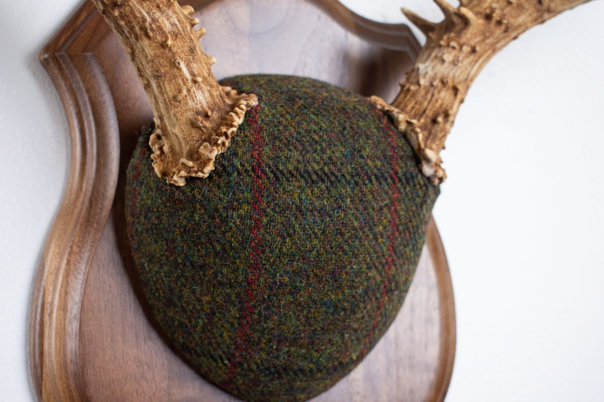 Mule Deer Antler Mount | Green mix with Black and Red Overcheck | 64