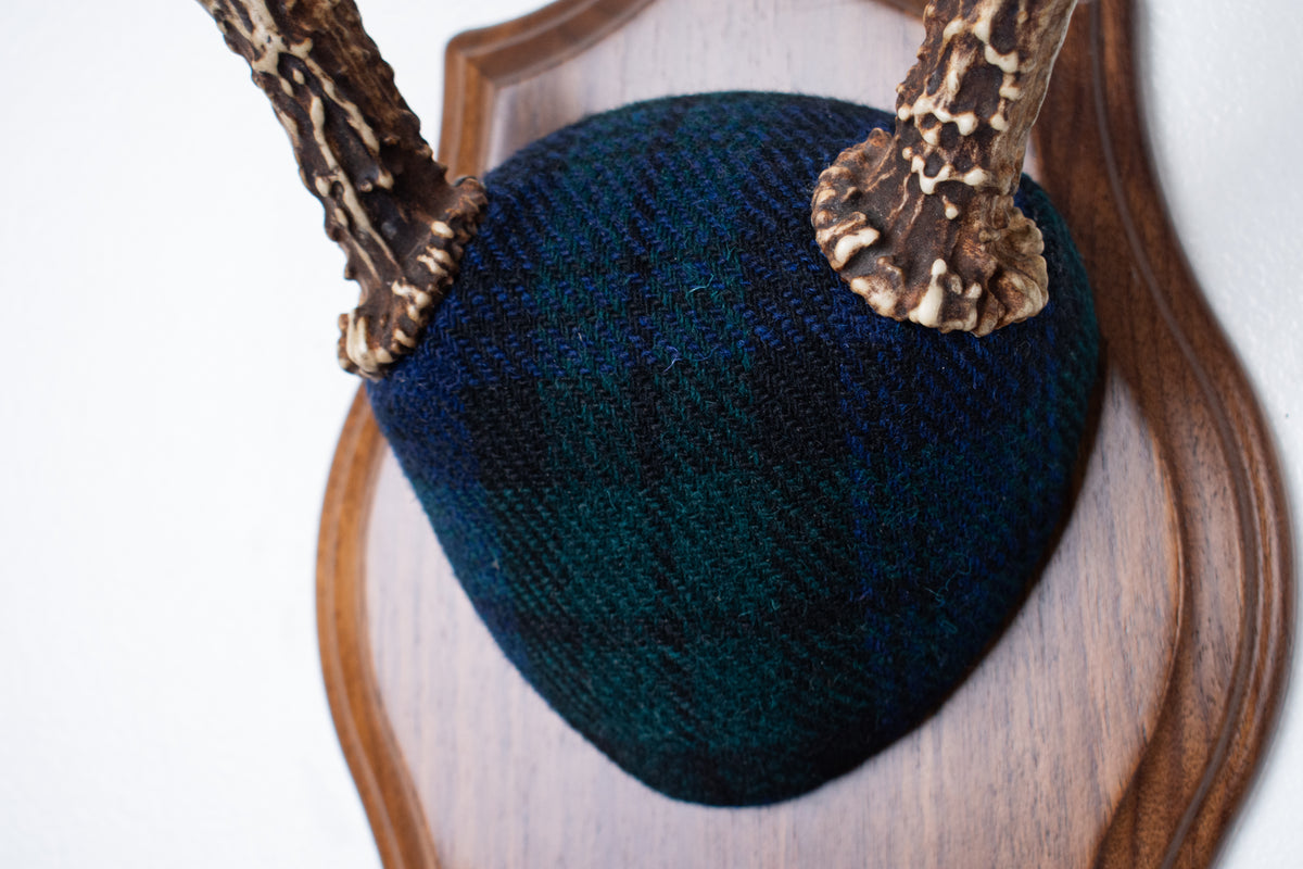 Blacktail Deer Antler Mount | Black Watch Tartan | 65