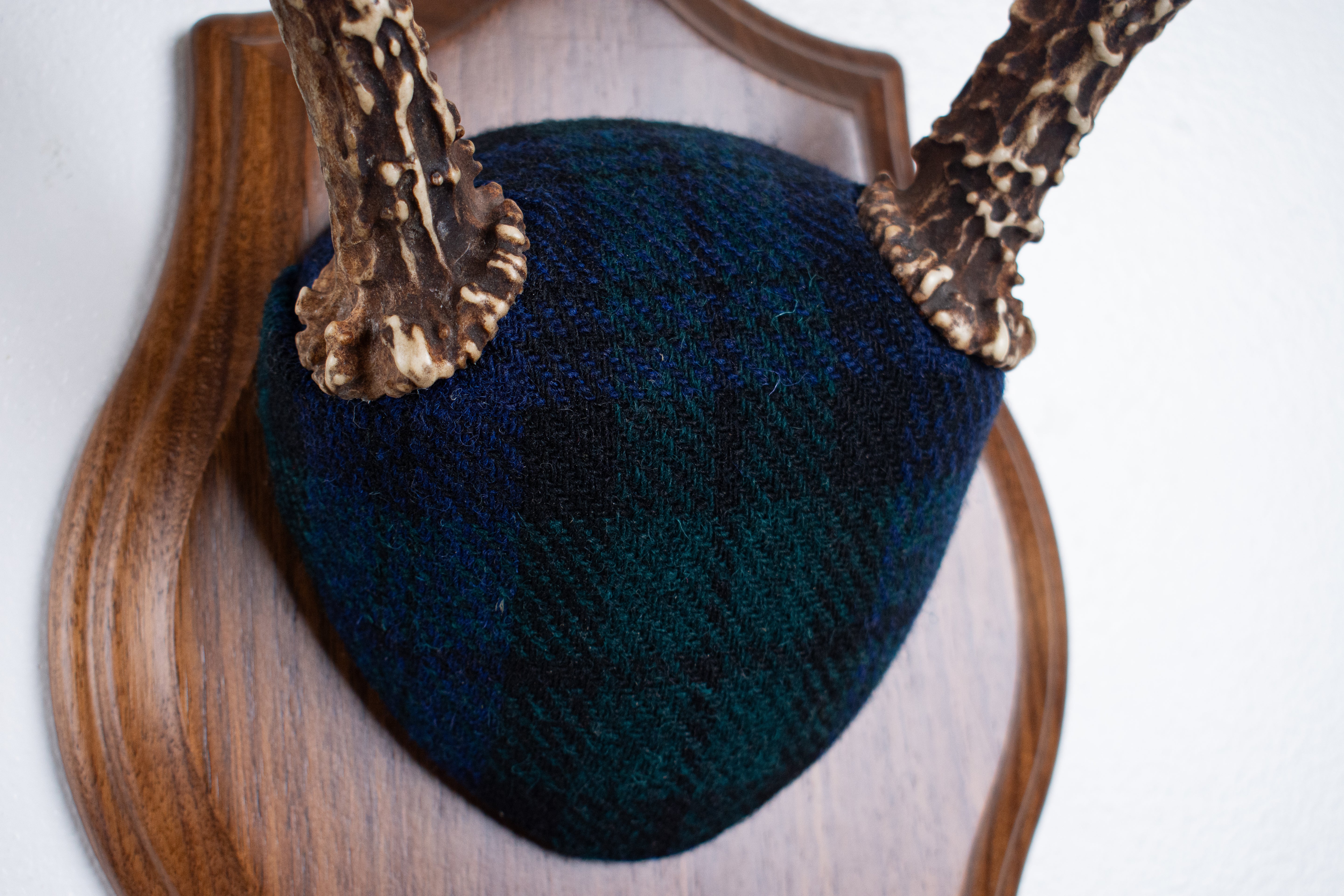 Blacktail Deer Antler Mount | Black Watch Tartan | 65