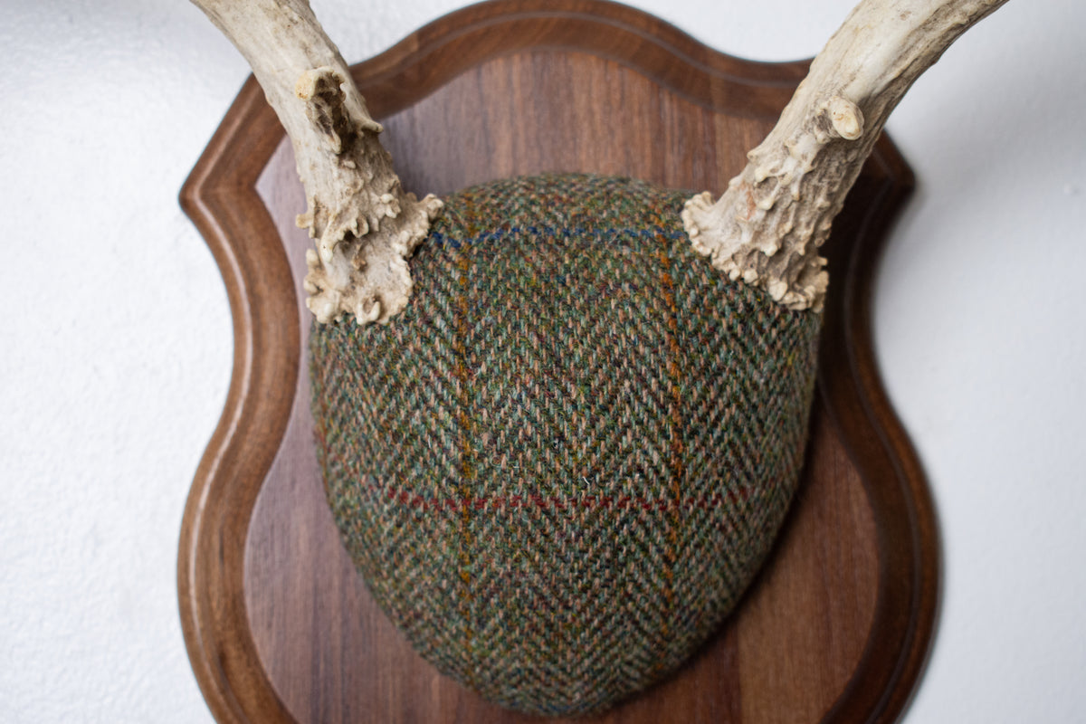 Mule Deer Antler Mount | Green Herringbone Tweed | 66