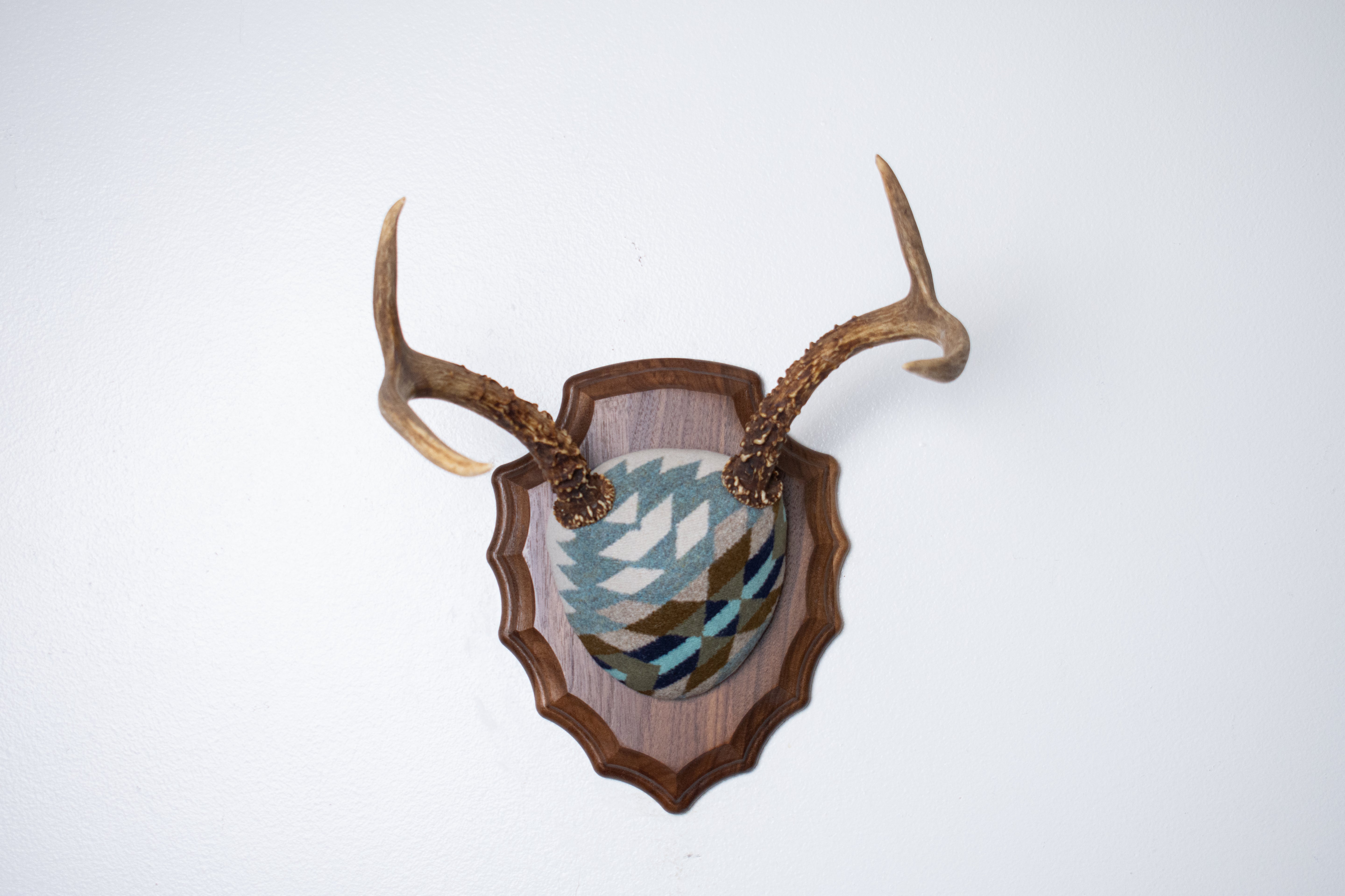 Mule Deer Antler Mount | Glacier | 24