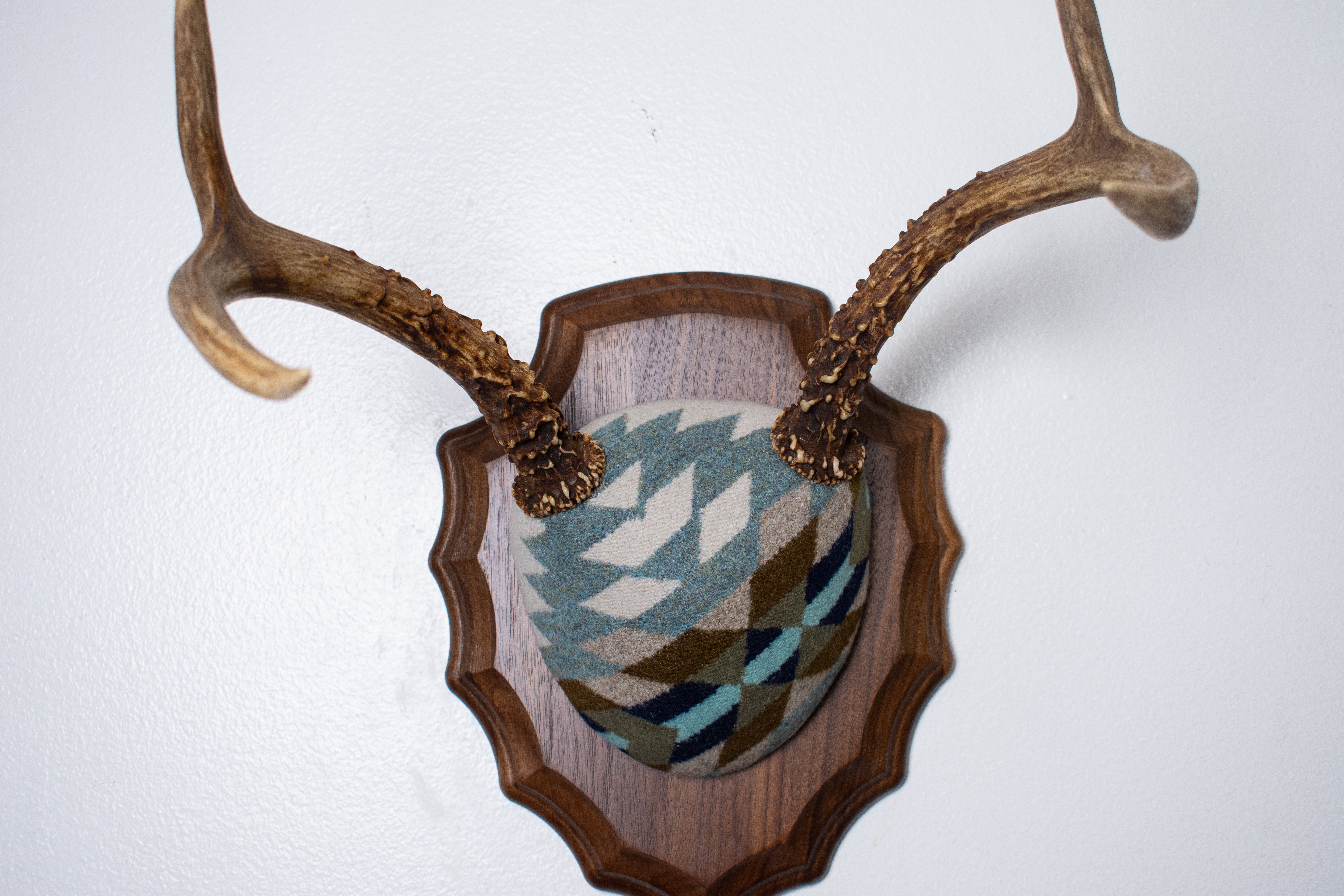 Mule Deer Antler Mount | Glacier | 24